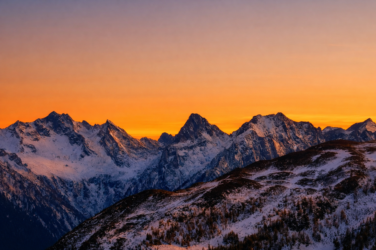 Portfolio Pics Feb 21, 2026, 05_10_55 PM.png