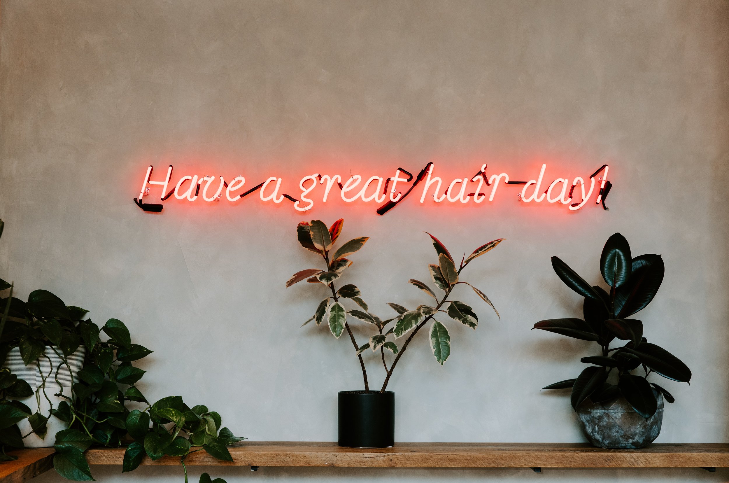Have a Great Hair Day Sign- Updated Bottom of all pages .jpg