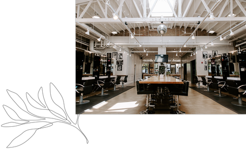 Solo Salon