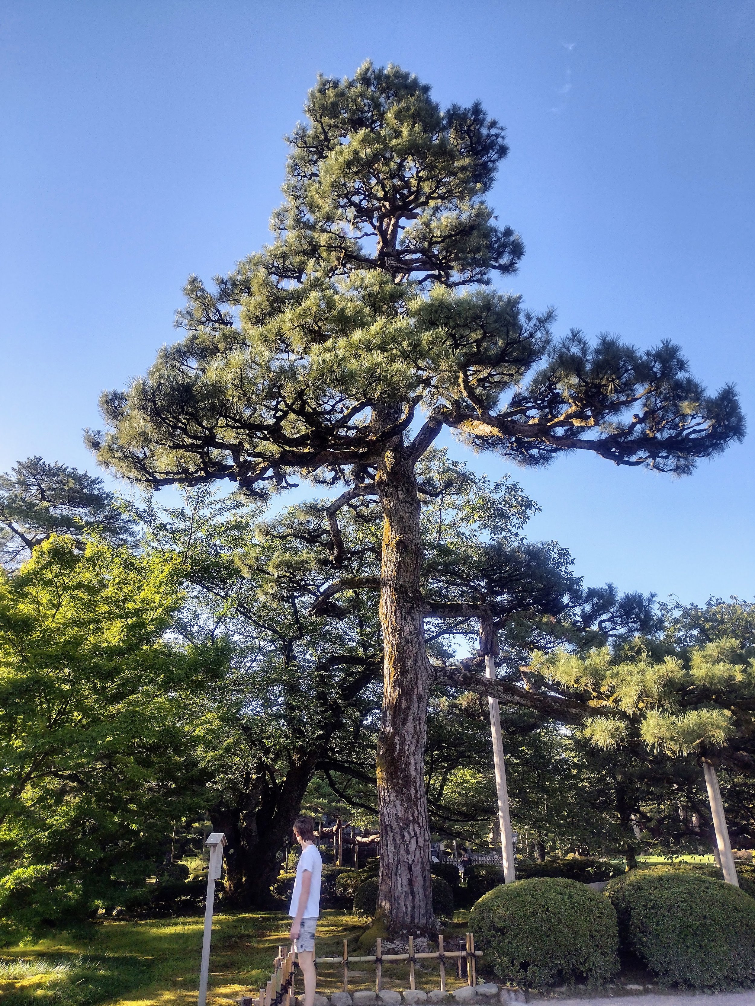 IMG_20250719_062732072_HDR.jpg