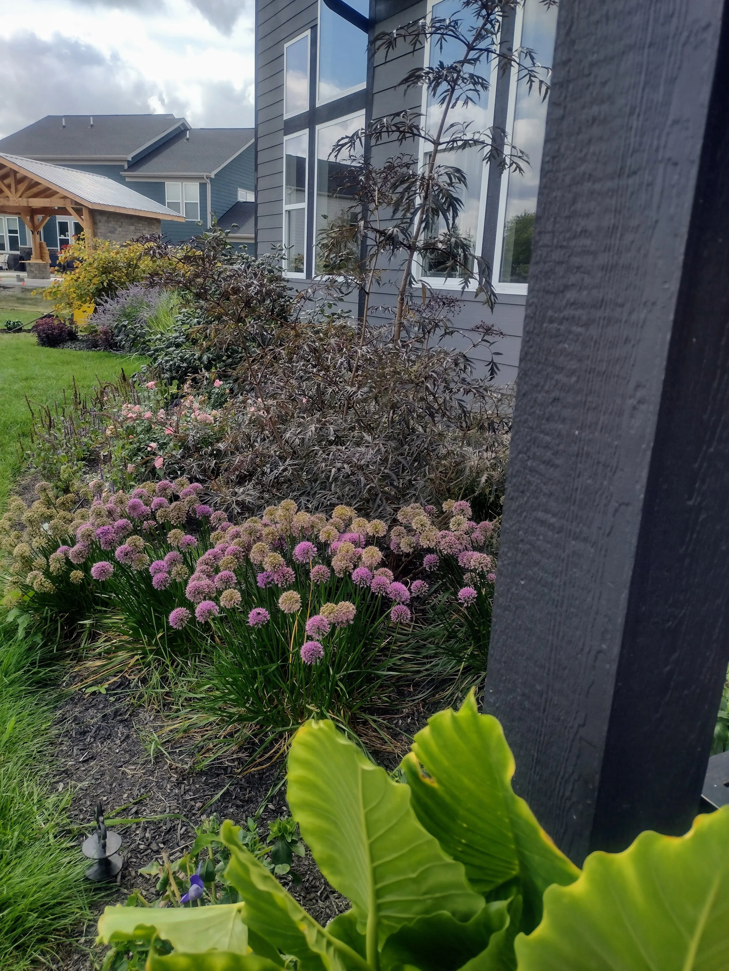 IMG_20250829_124719153_HDR.jpg