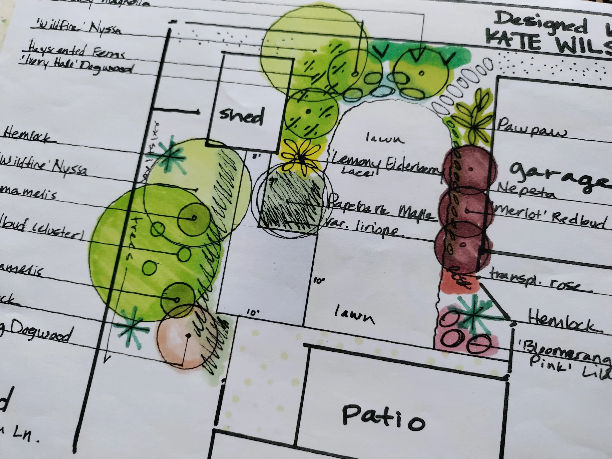 Native backyard oasis master plan 