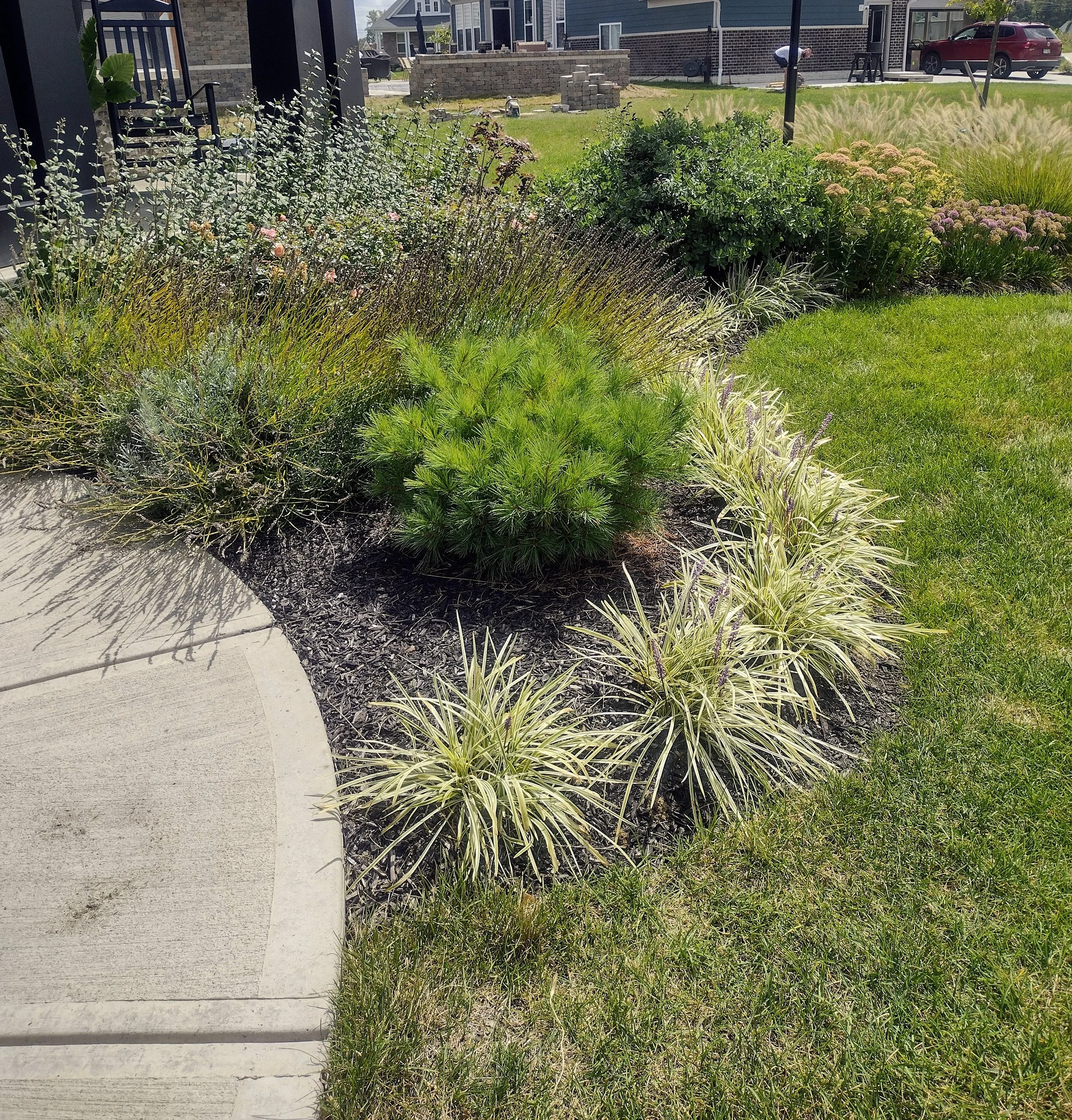 IMG_20250829_124203369_HDR.jpg