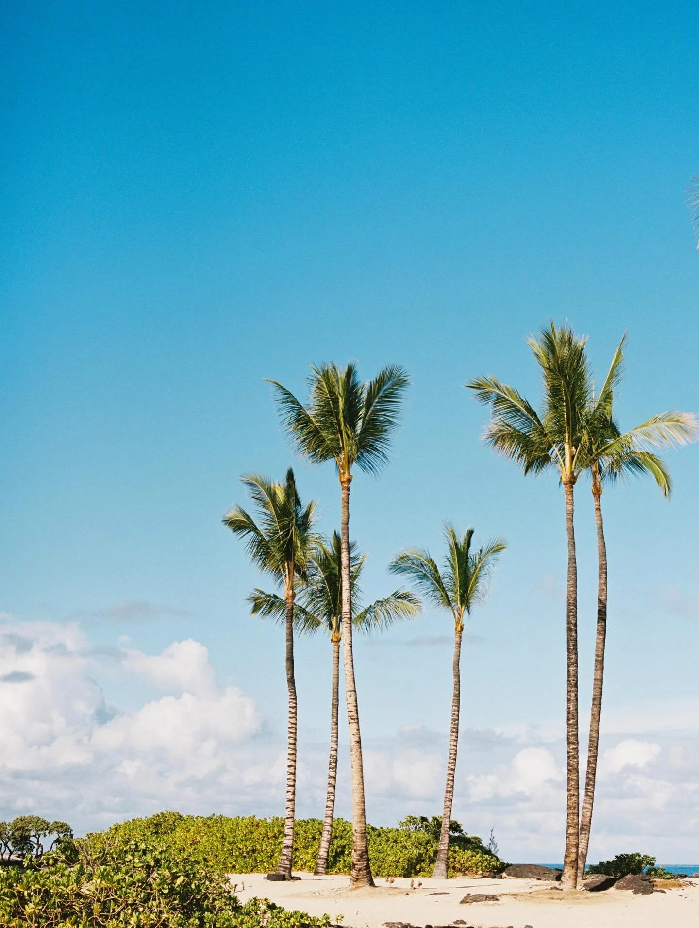Dreaming of Hawaii 💭 

I am headed there this summer, if you are too&hellip; perhaps we could dream together 🌊 📸 😉

Scans @goodmanfilmlab