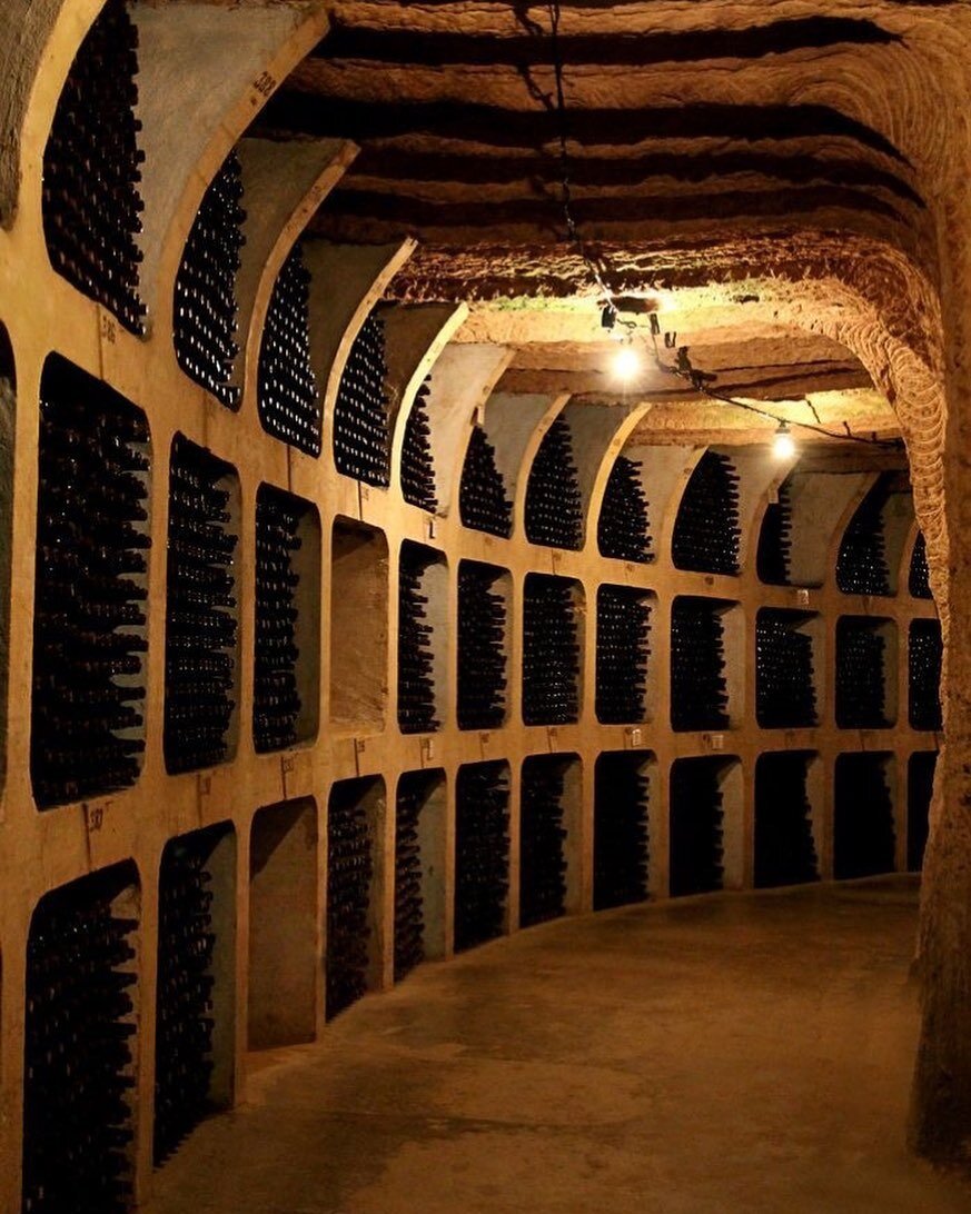 CELLARING WINE: ⁠
A wine fact about wine cellars is that they are typically designed to maintain a temperature between 55-59&deg;F (12-15&deg;C) and a humidity level of 60-75%, as these conditions help wine to age and develop properly. Additionally, 