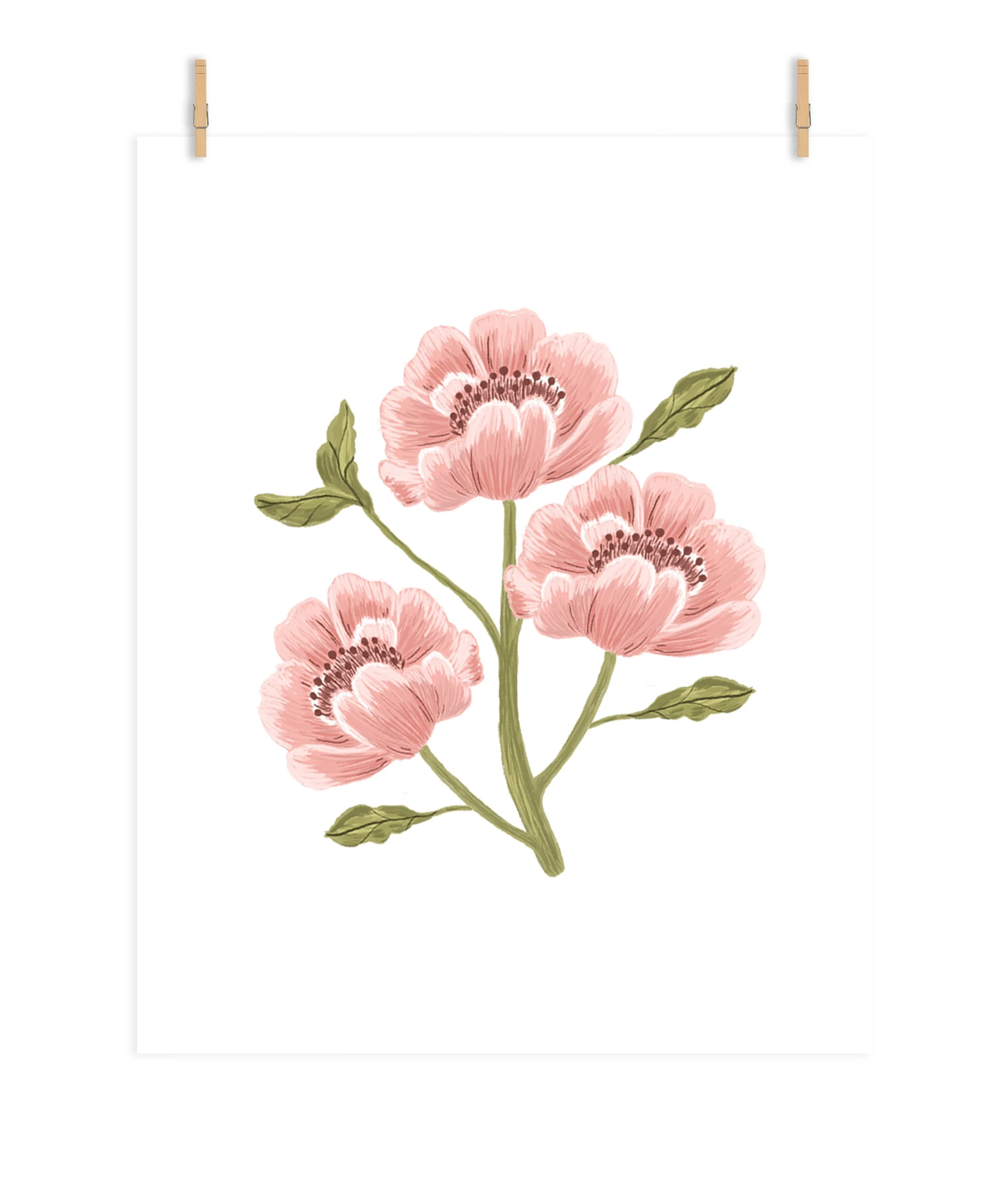 01_Main Image_Large_Clothes Pins_White Background.jpg