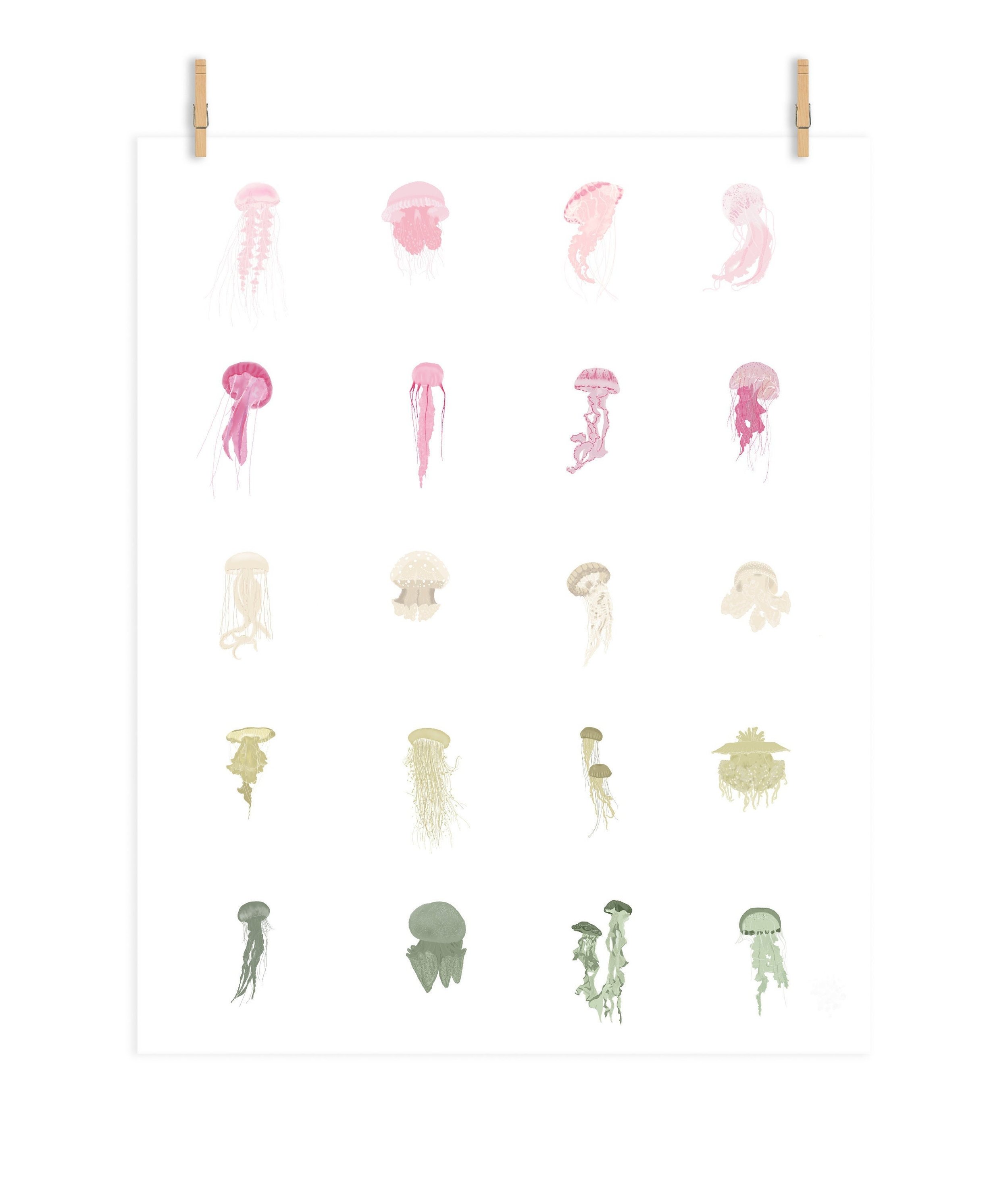 https://i.etsystatic.com/9924736/r/il/e22afc/3649479623/il_fullxfull.3649479623_52r9.jpg