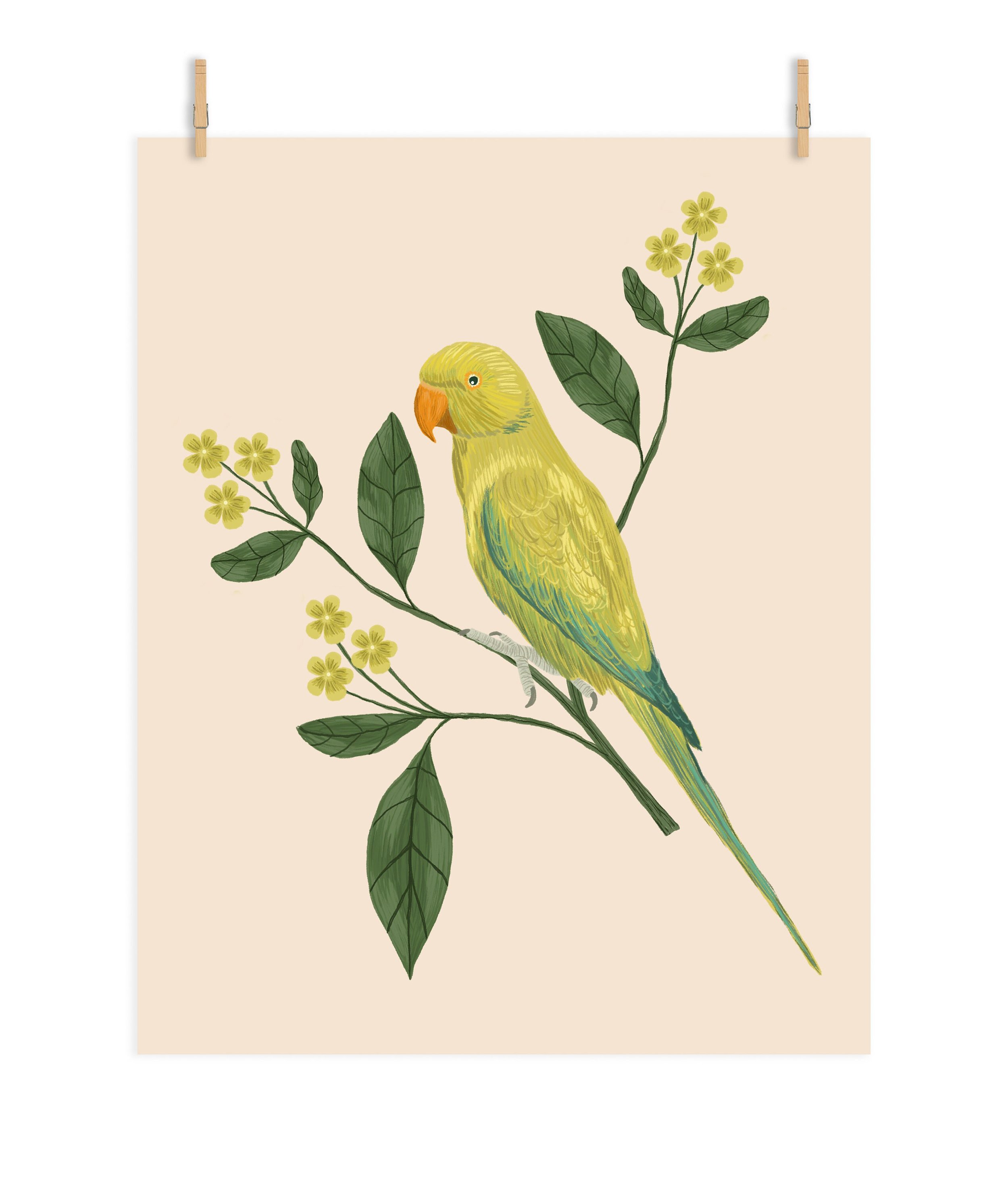 https://i.etsystatic.com/9924736/r/il/38fc89/3601891062/il_fullxfull.3601891062_kkiv.jpg