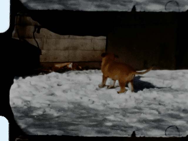 926 MAPLE LANE 1957 GIF.gif