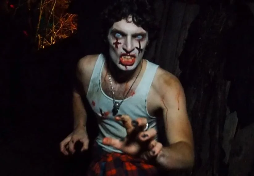 Sometimes a character just wanders up to the lens and knows what to do. This is one of those impromptu times.