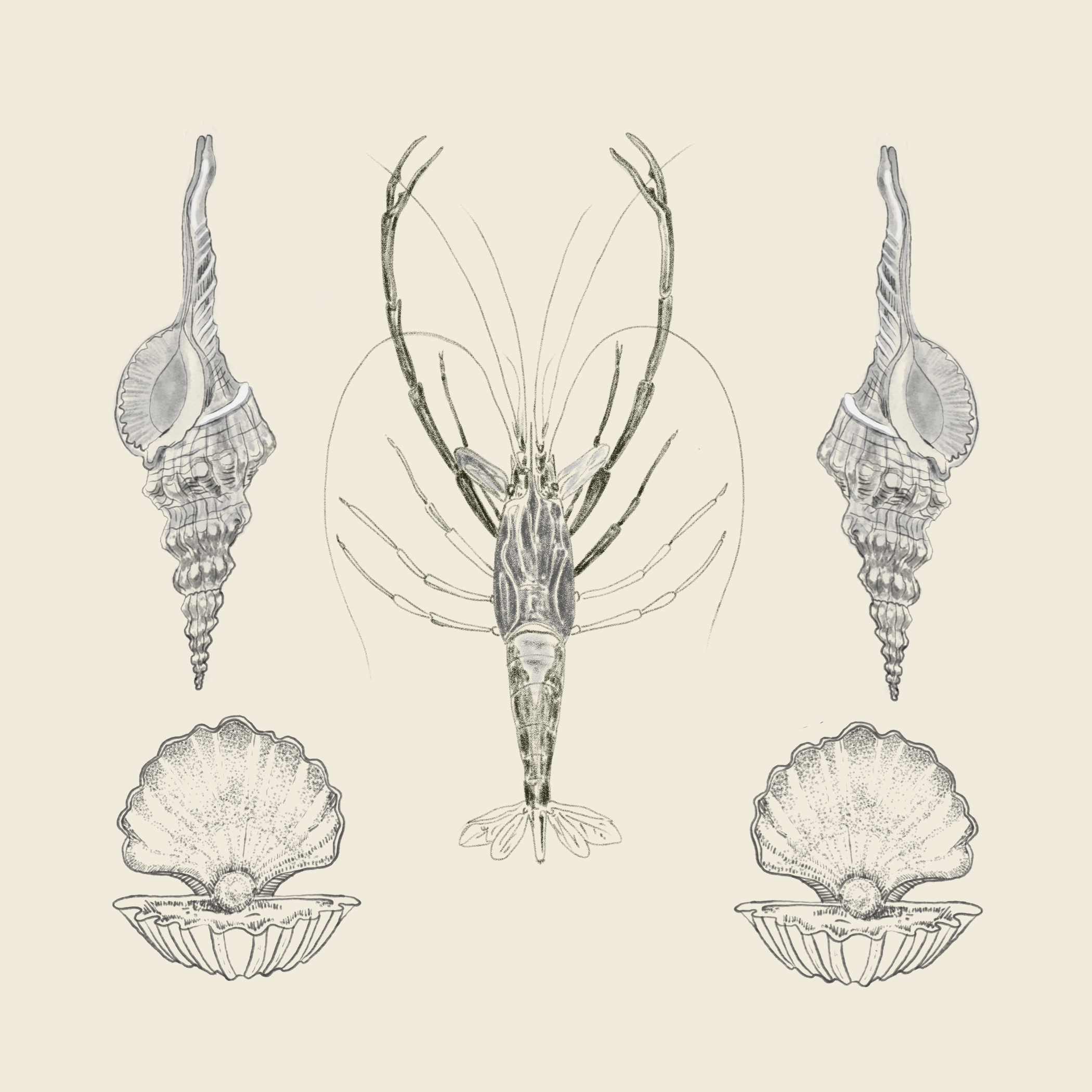 Shellfish Print