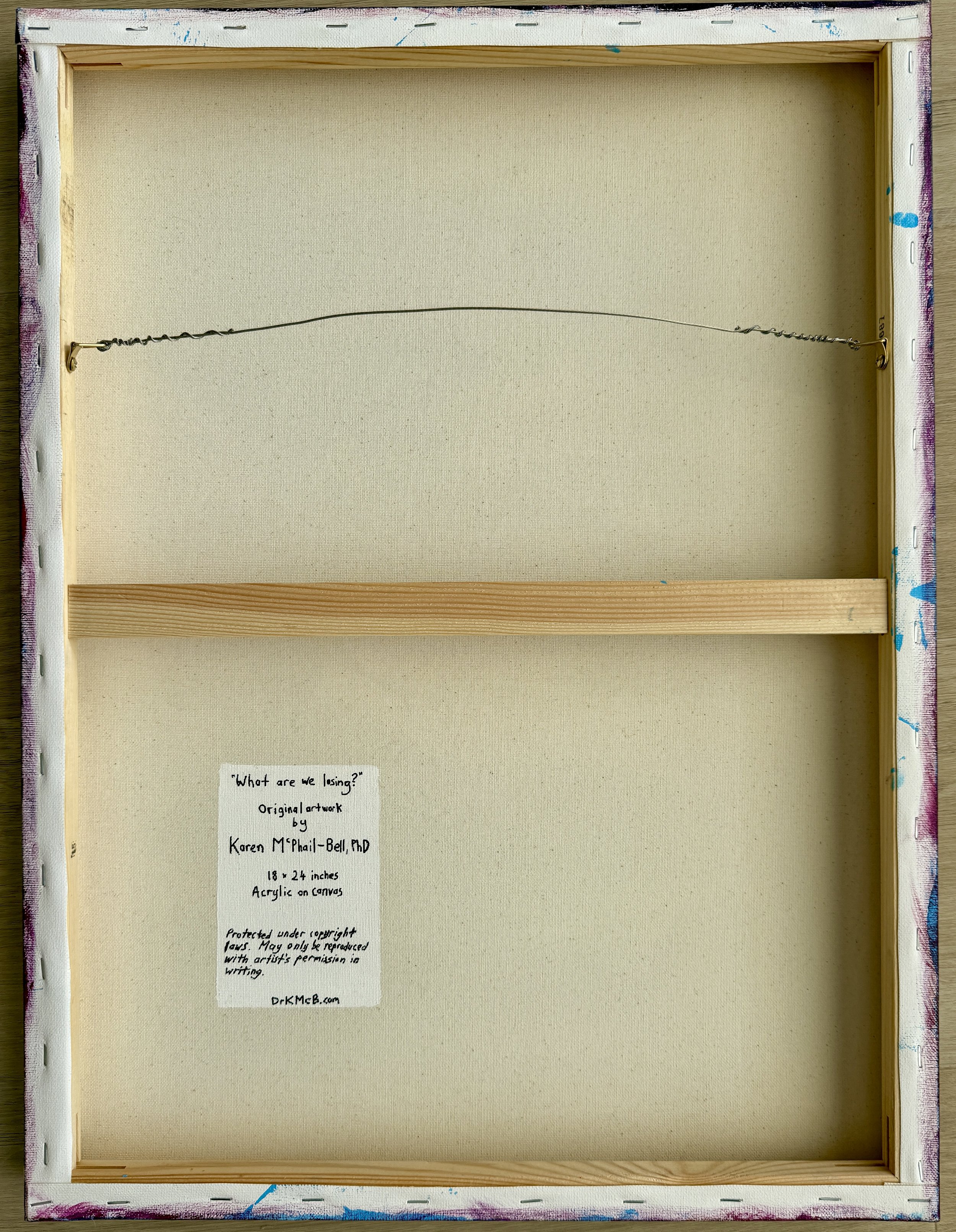 WhatAreWeLosing back.JPG