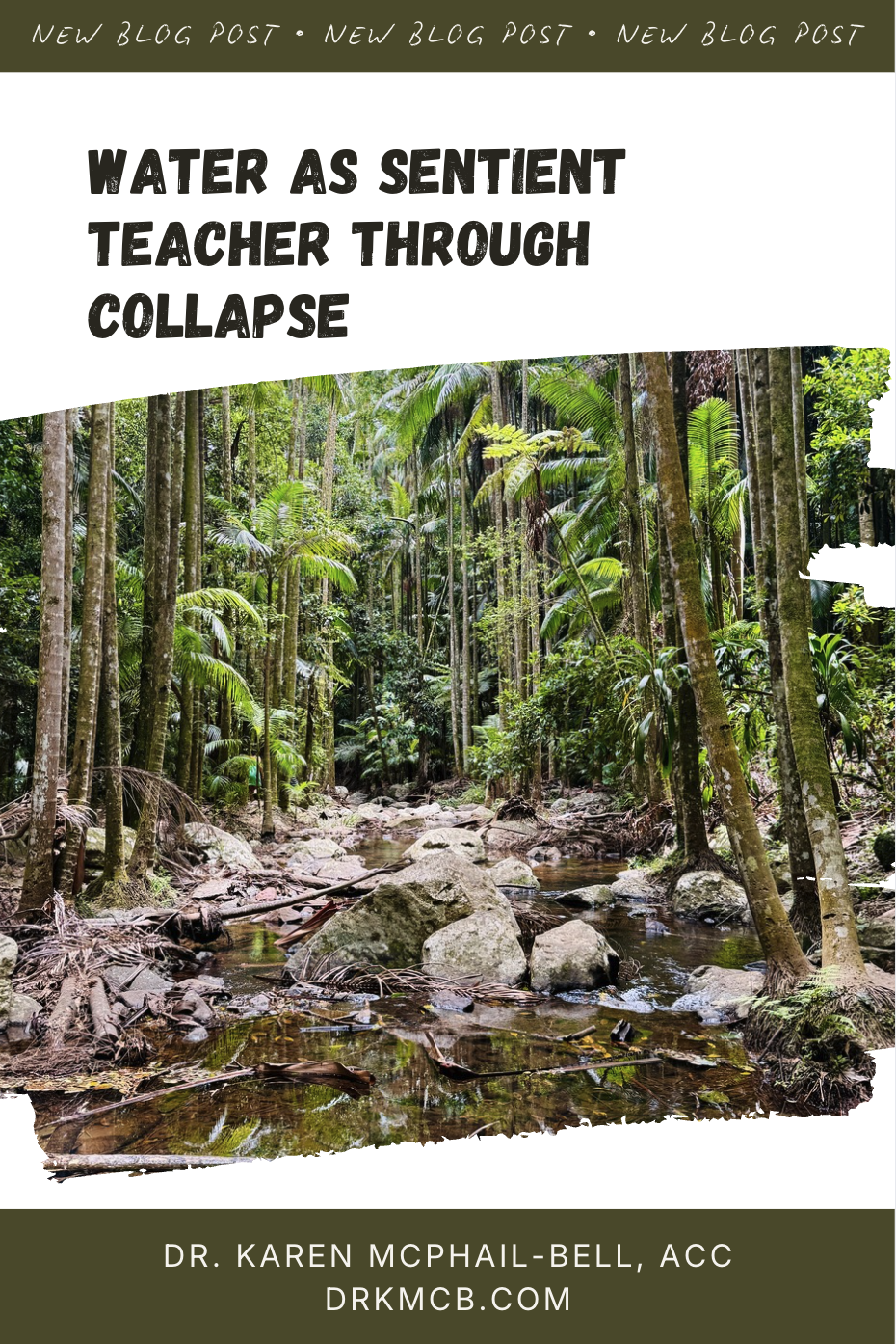 Water as unexpected teacher through collapse