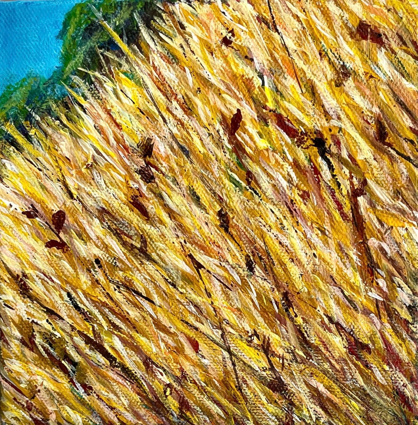 Grasslands+square.jpg