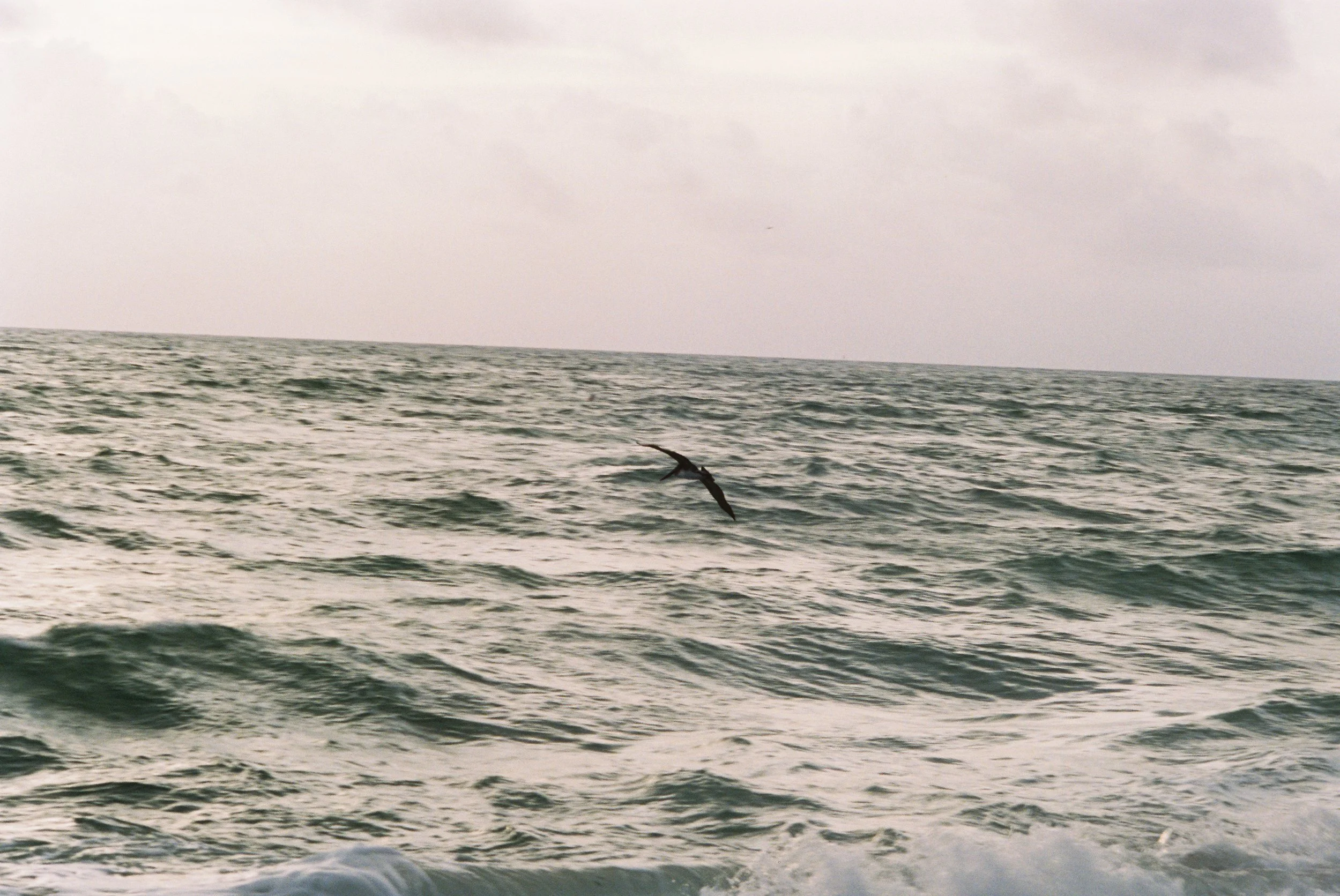 025996008125-R1-004 2.JPEG