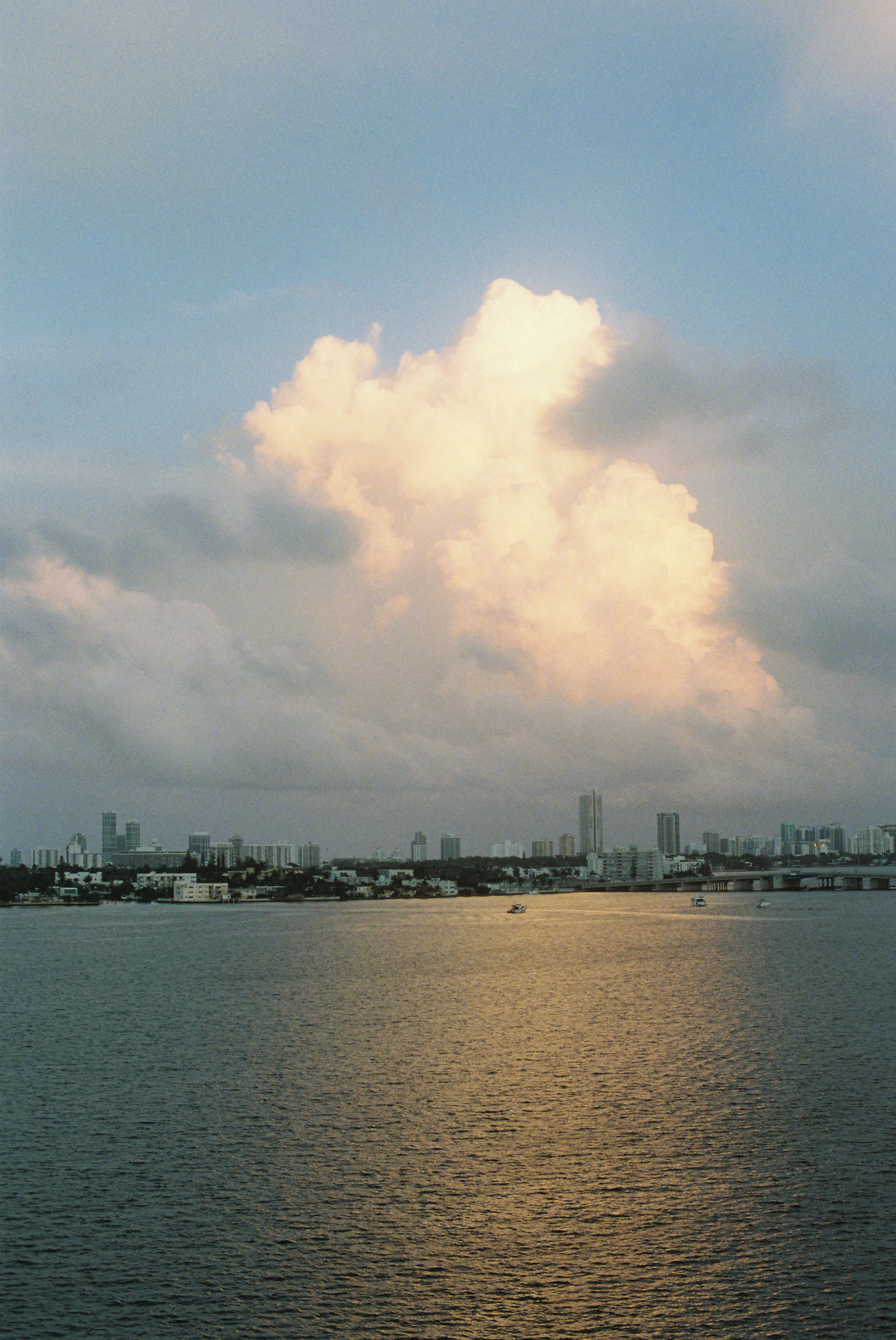 025996008124-R1-011 2.JPEG