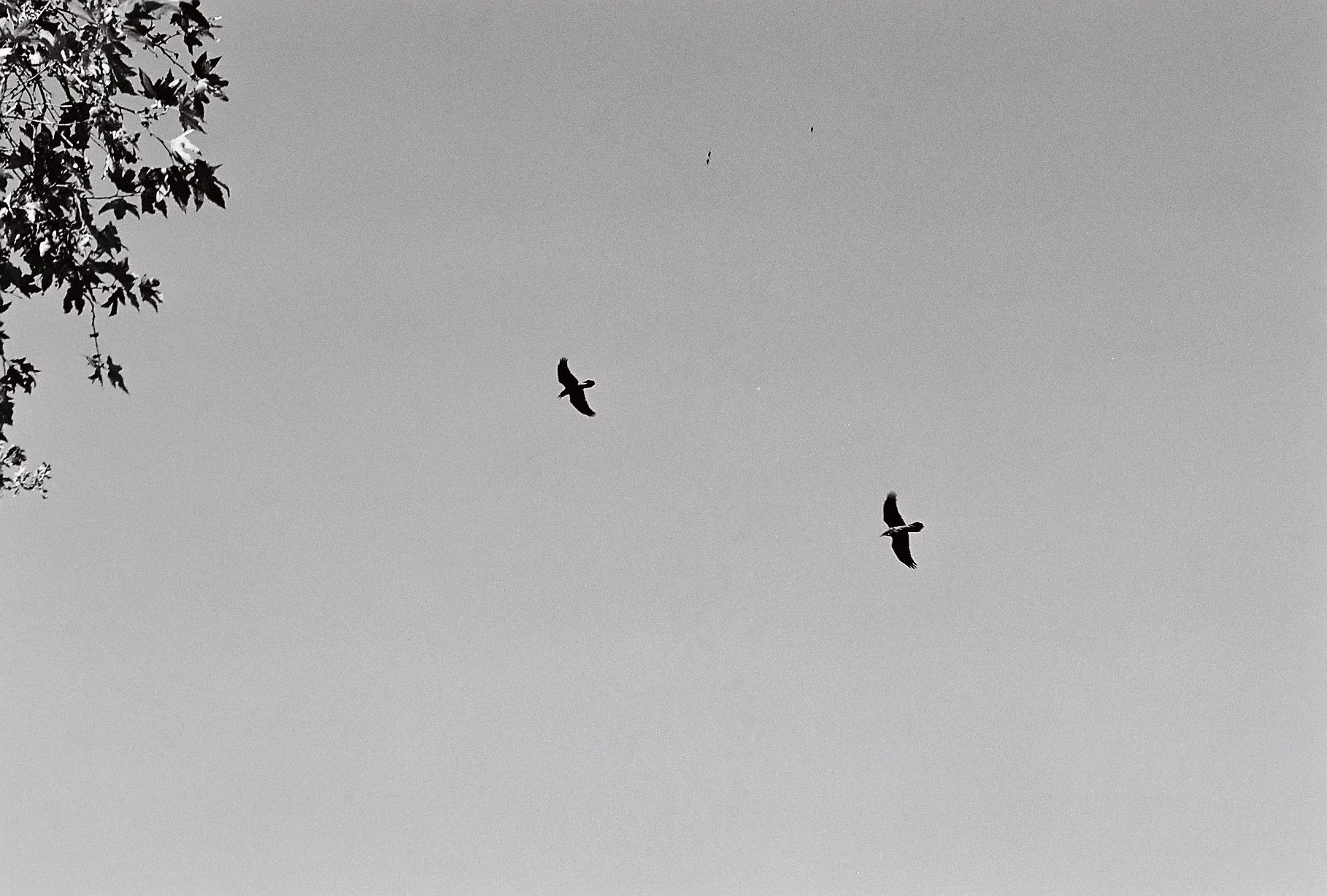 411118001099-R1-E028 3.JPEG