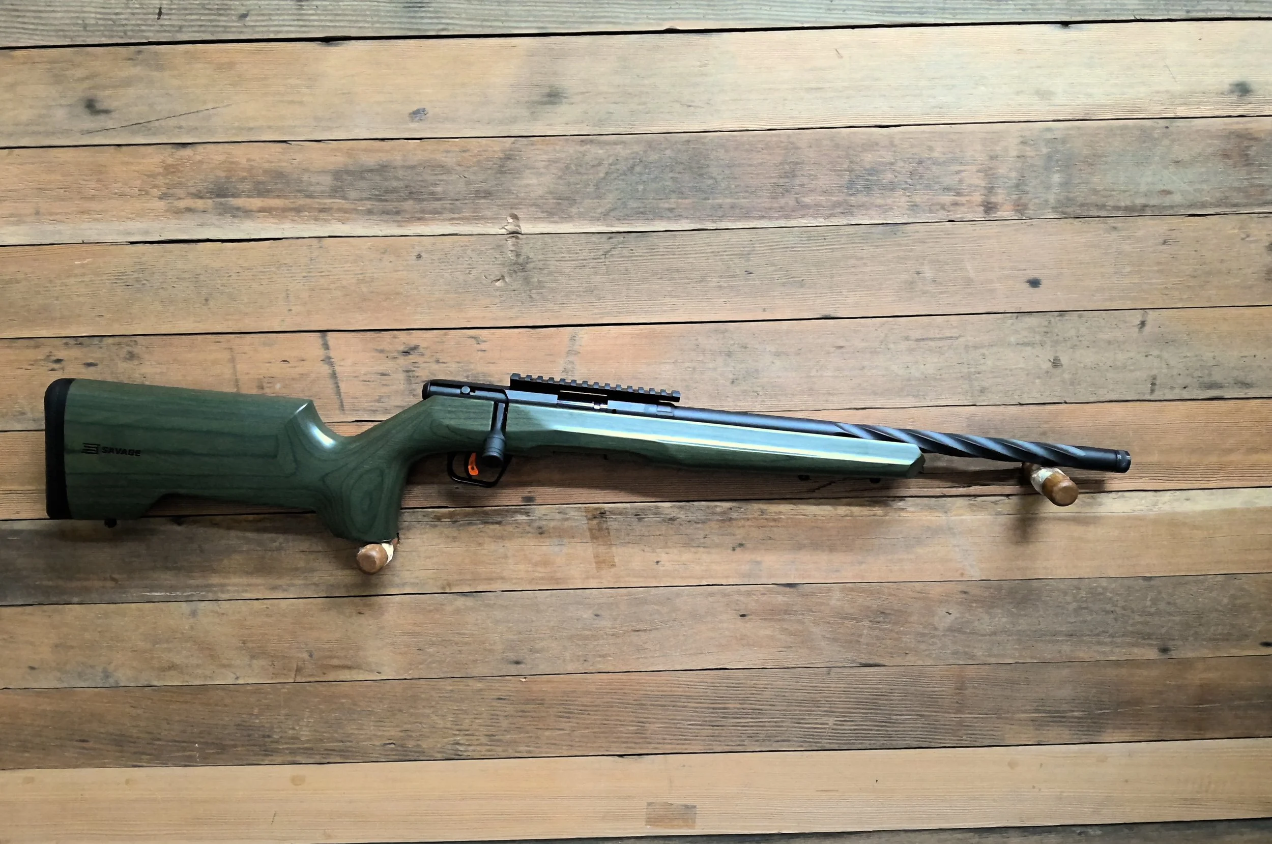 SAVAGE B17 BV-NS PRECISION RIFLE 17 HMR
