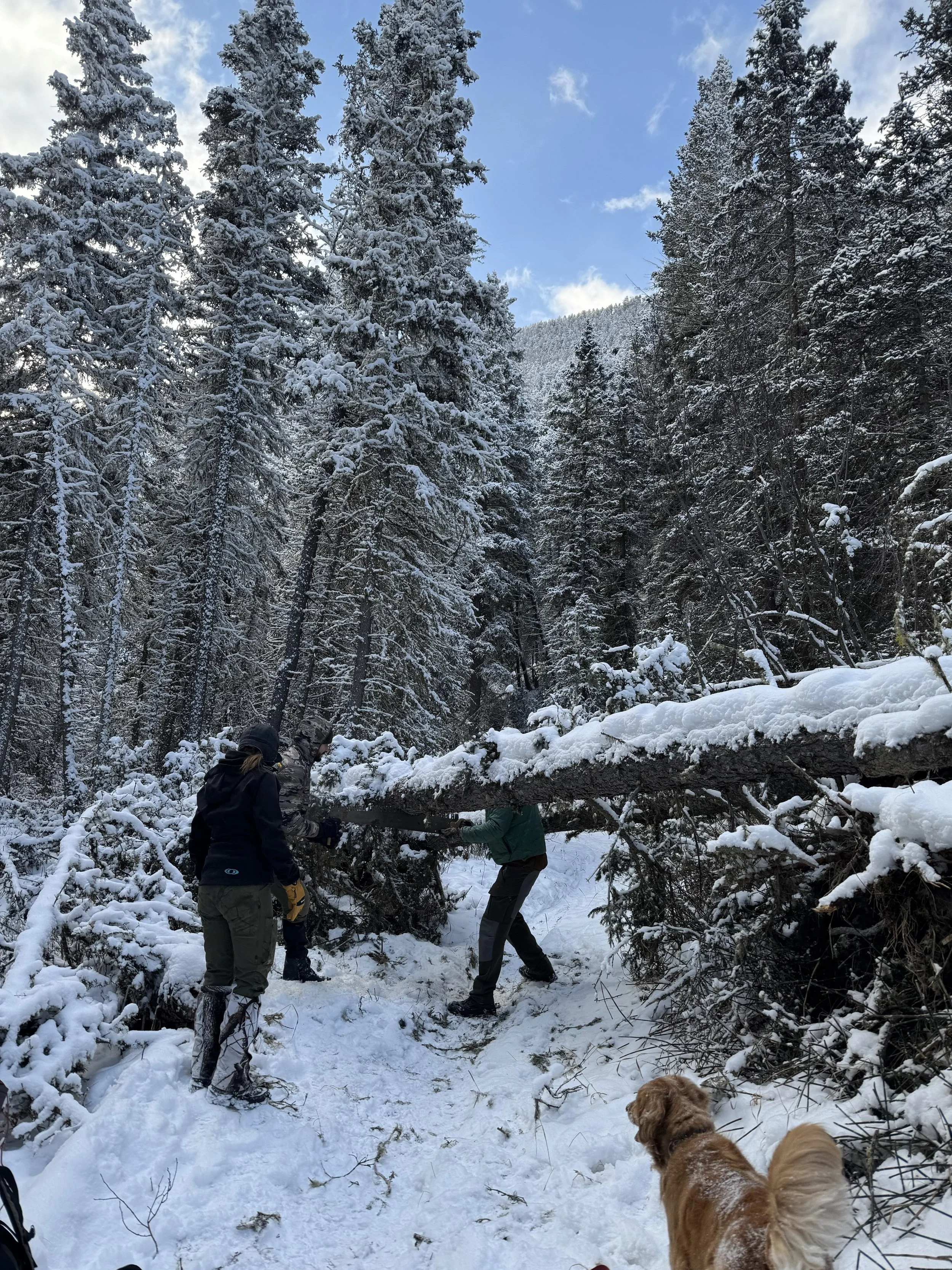 IMG_20260126_152335 .jpg