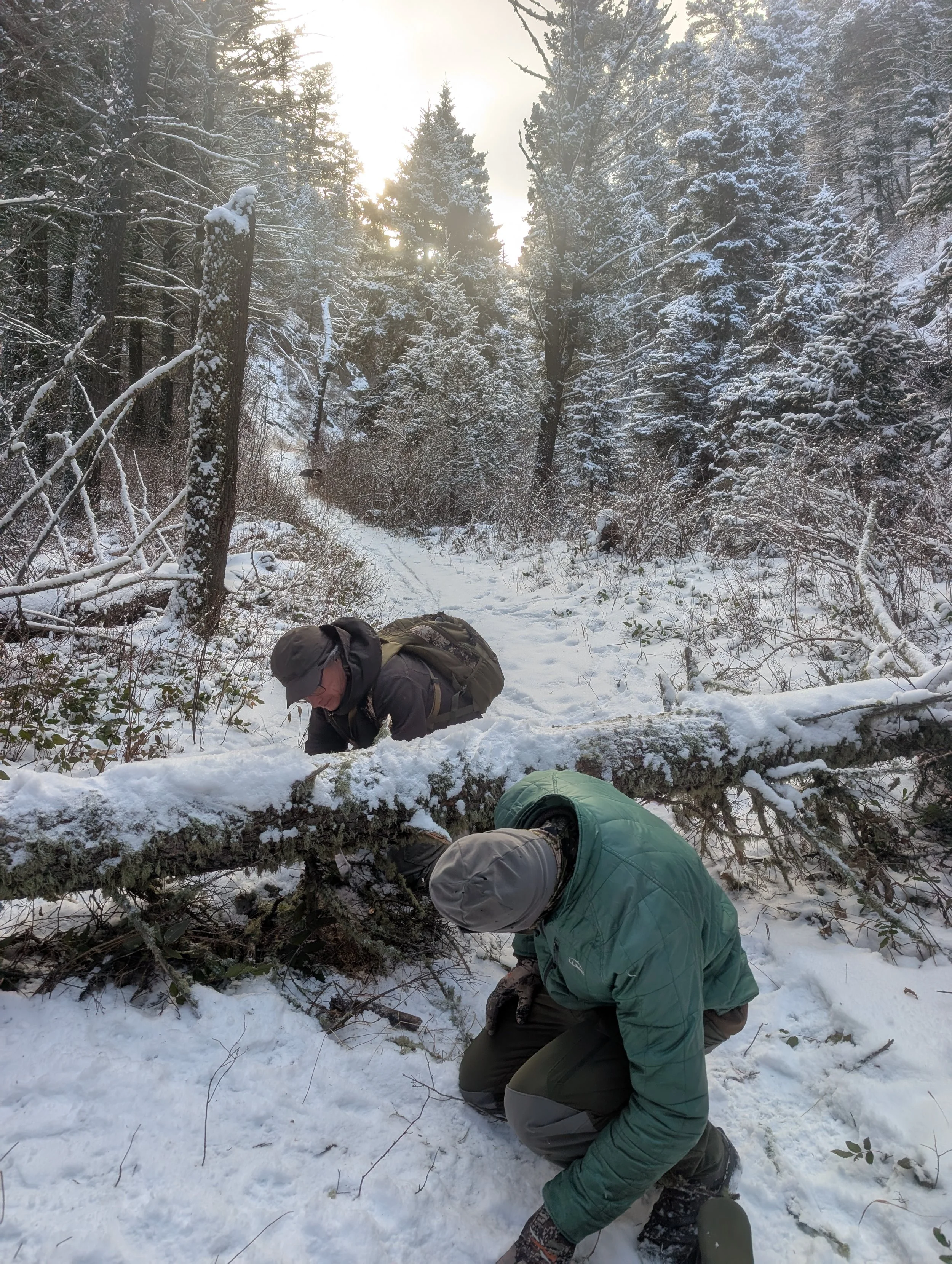 PXL_20260125_162937892 (1).jpg