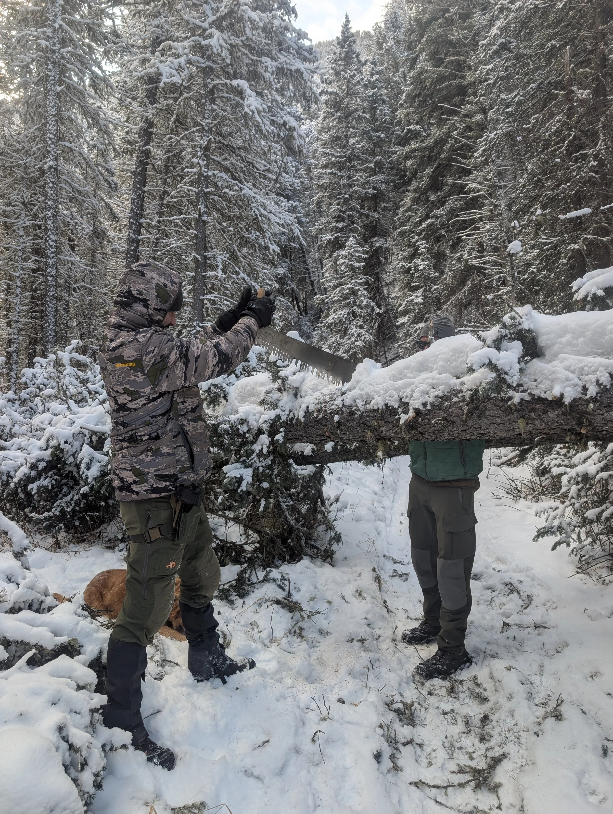 PXL_20260125_165000254 (1).jpg