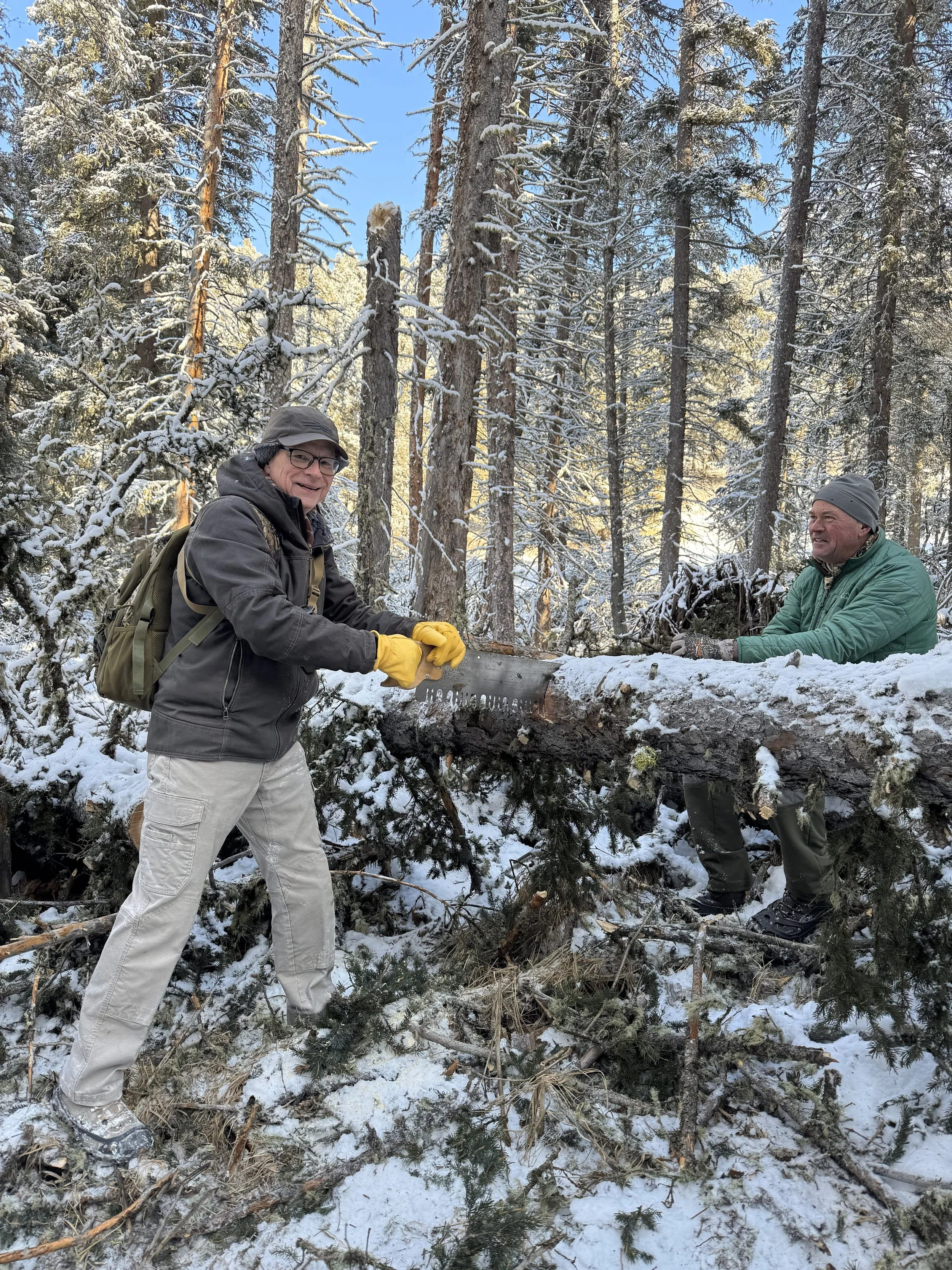 This Land is Our Land