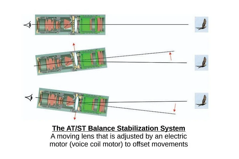 ST Balance Stabilization Pic-Copy.jpg