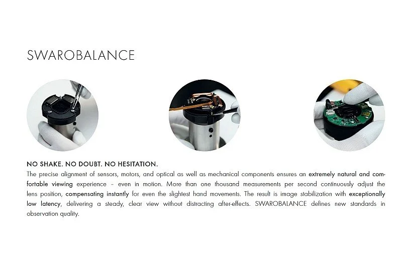 AT-ST Balance SwaroBalance Pic-Copy.jpg