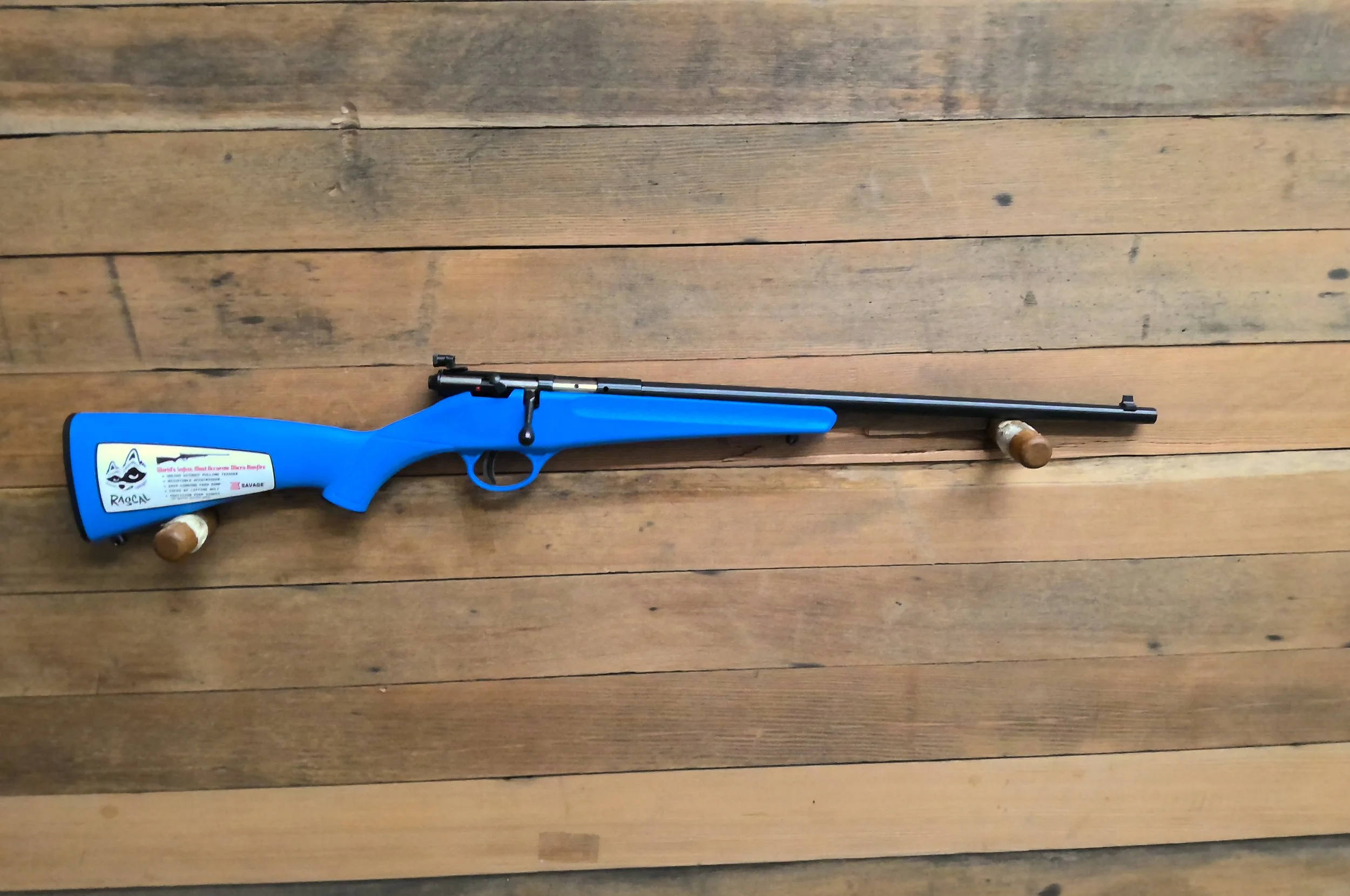 SAVAGE RASCAL YOUTH RIFLE 22 LR