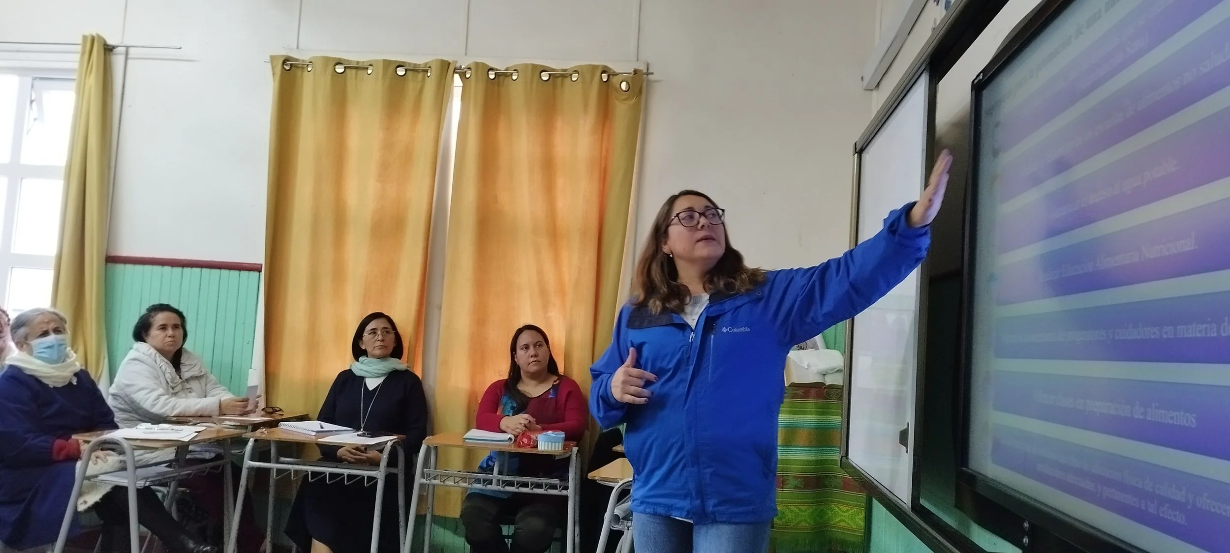 Workshop Profesores Quinchao  y Curaco - Ambientes Escolares Saludables