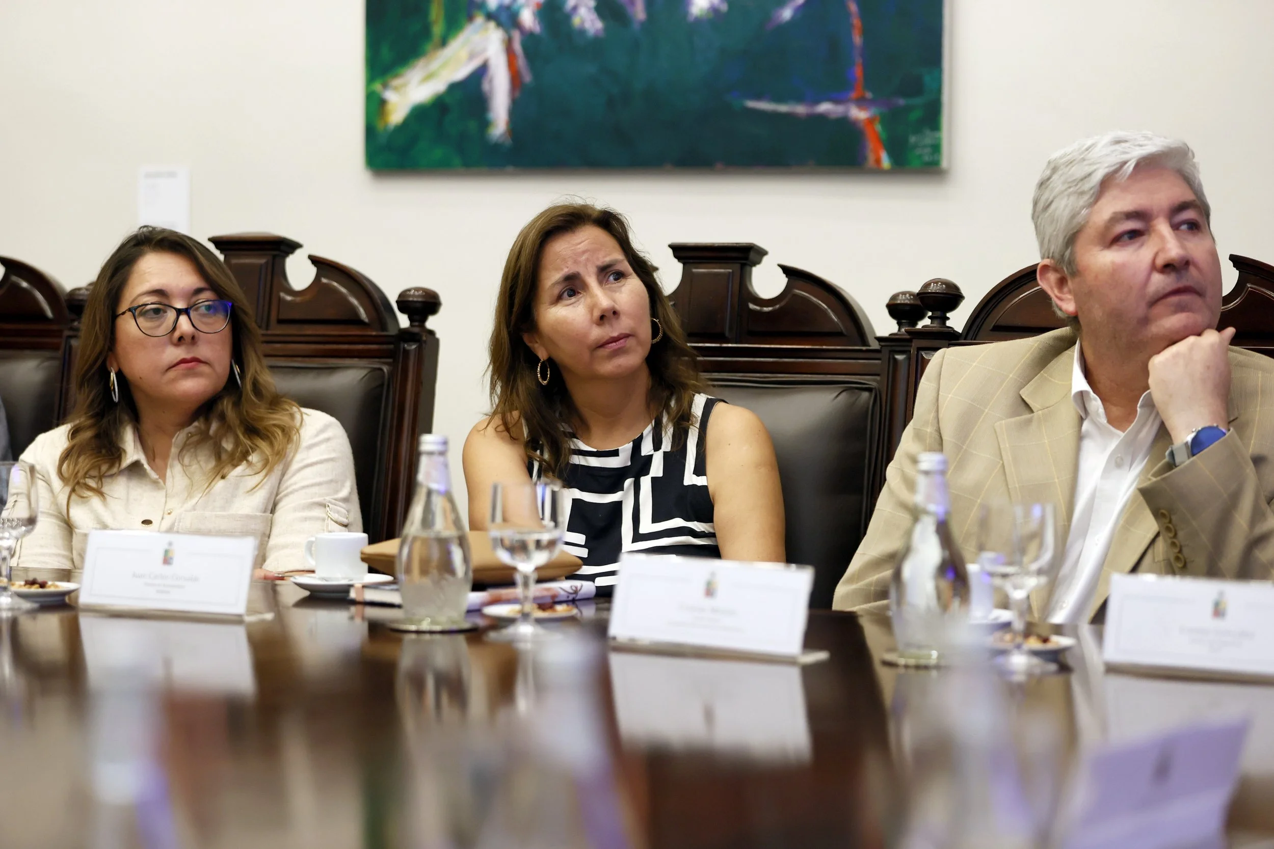 Ministerio Desarrollo Social Programa Envejecimiento Activo-03-03-2026-21.jpg