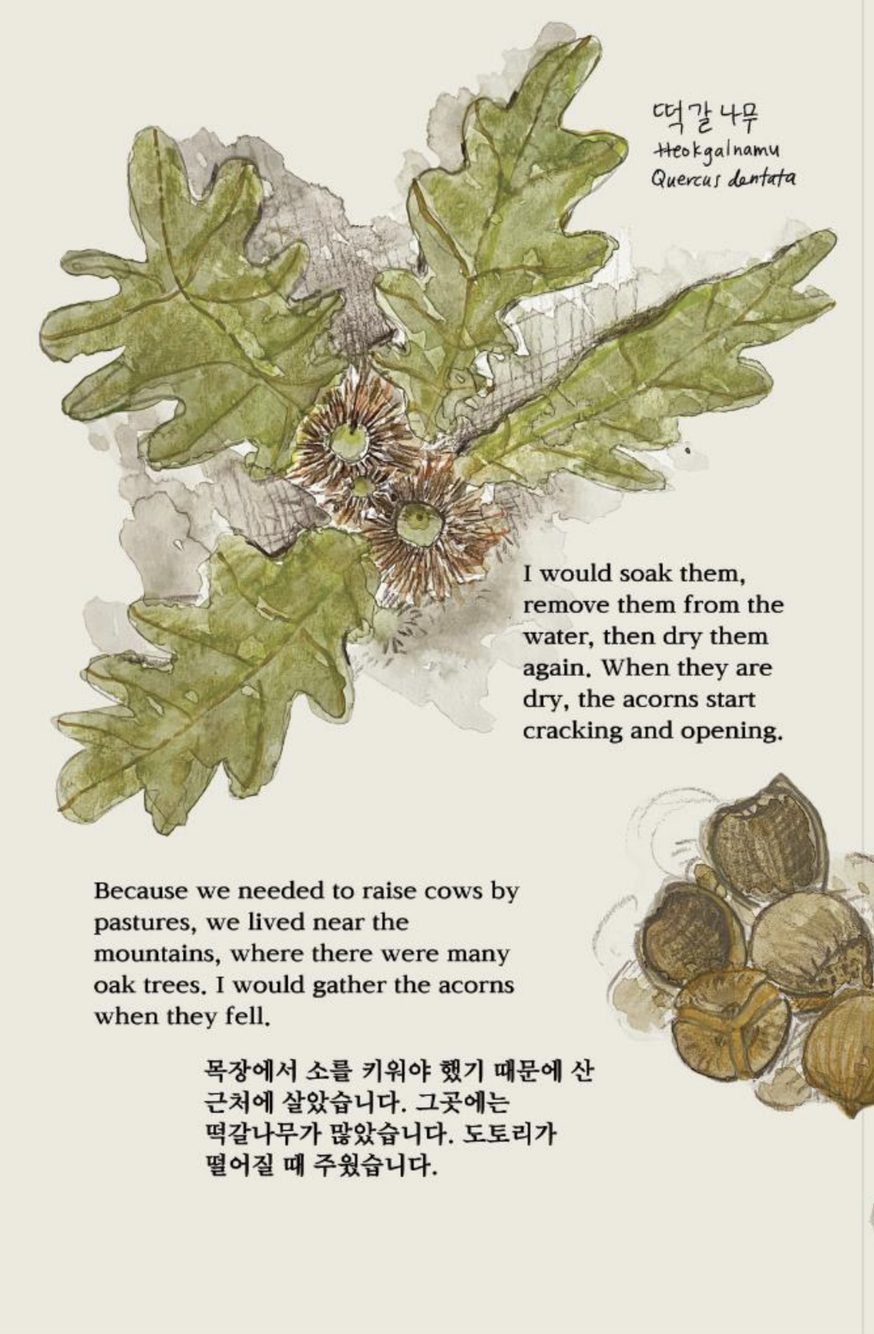 Screen Shot 2022-12-12 at 5.04.36 PM.png