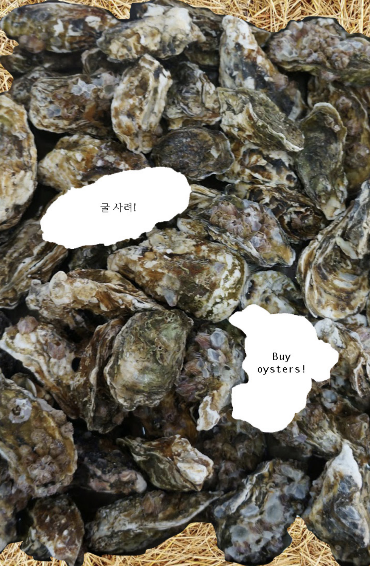 Screen Shot 2022-12-12 at 5.20.09 PM.png