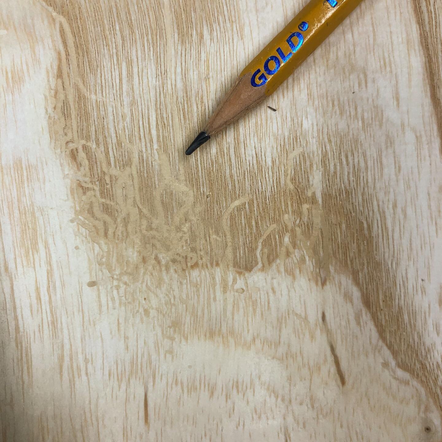 Be a biologist in the wood shop! My partner recently purchased these ash boards for a project. While planing them down, he noticed these telltale tunnels from the emerald ash borer! 

The emerald ash borer aka EAB, is a jewel beetle. EABs are native 