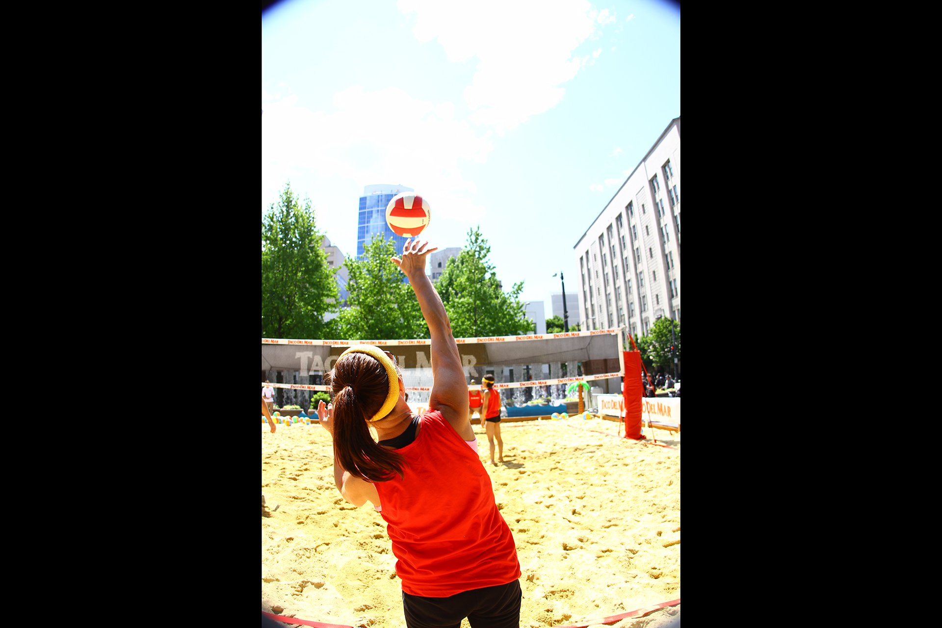 tdm_volleyball4.jpg