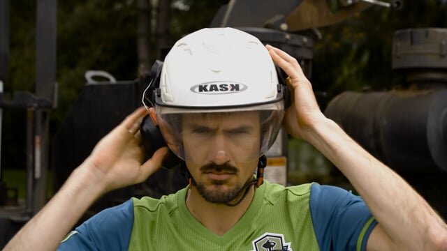 SoundersFC - Fell The Timbers