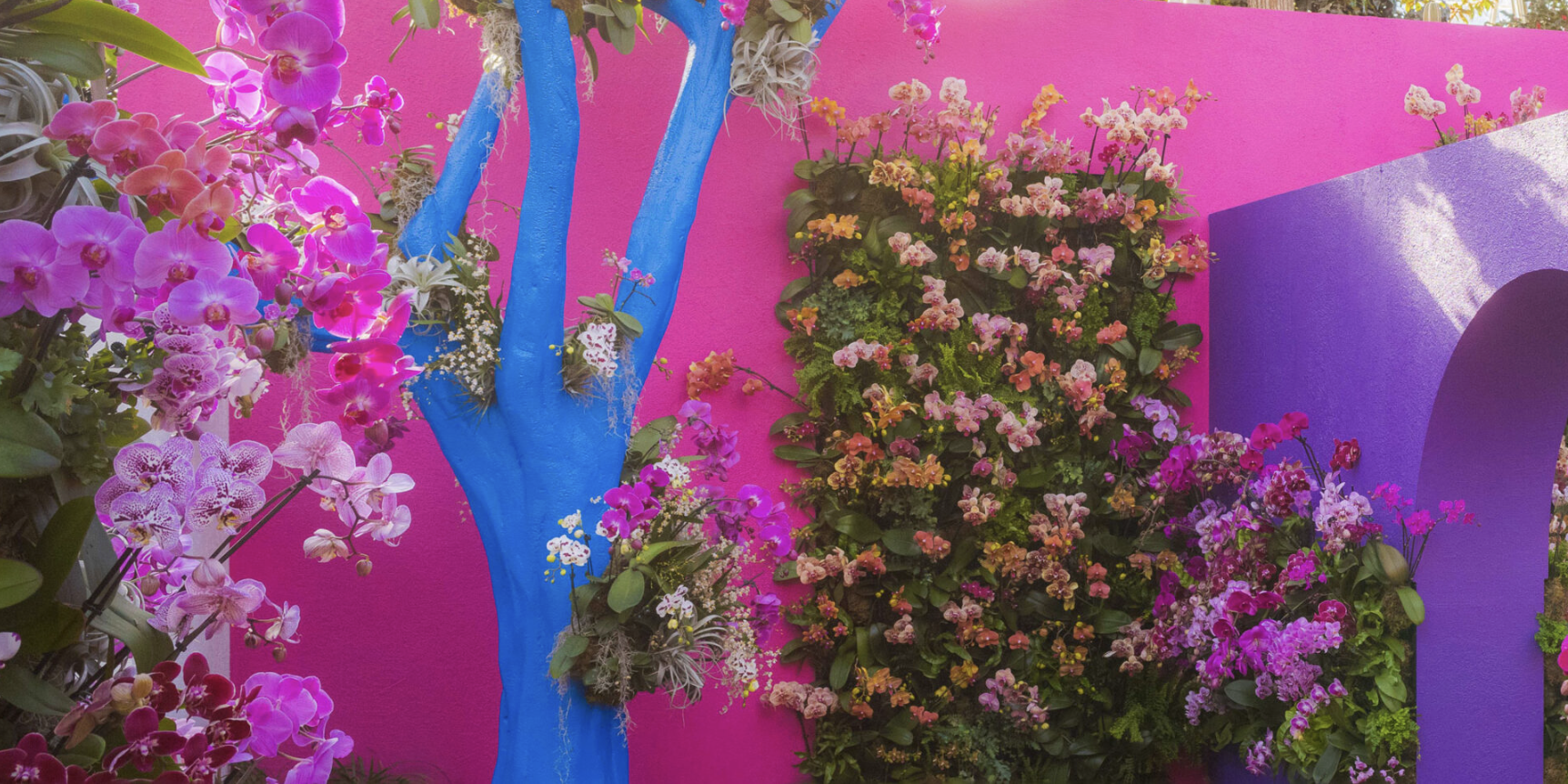 New York Botanical Gardens Orchid Show - Mexican Modernism, 2025
