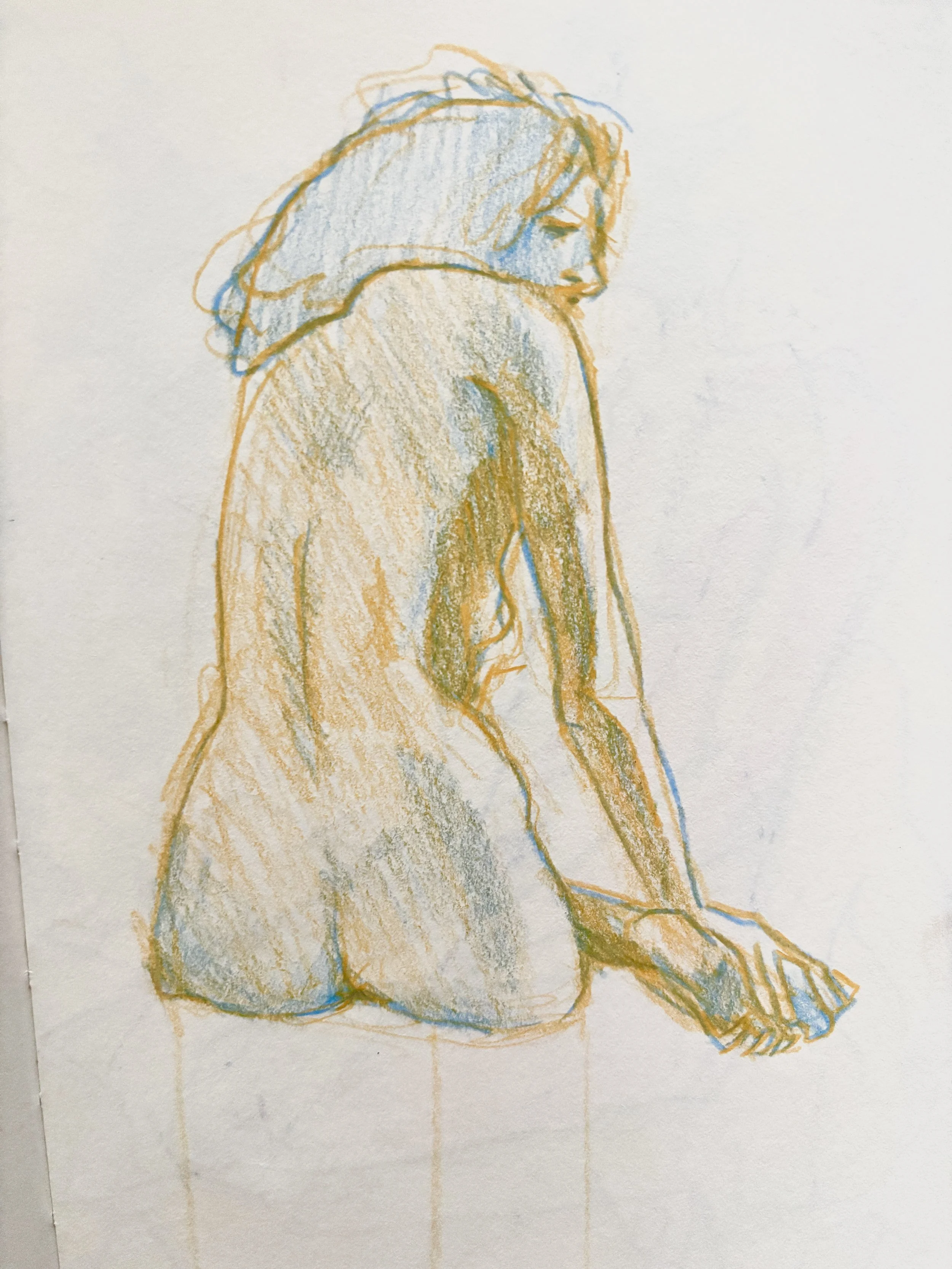 IMG_6533.jpeg