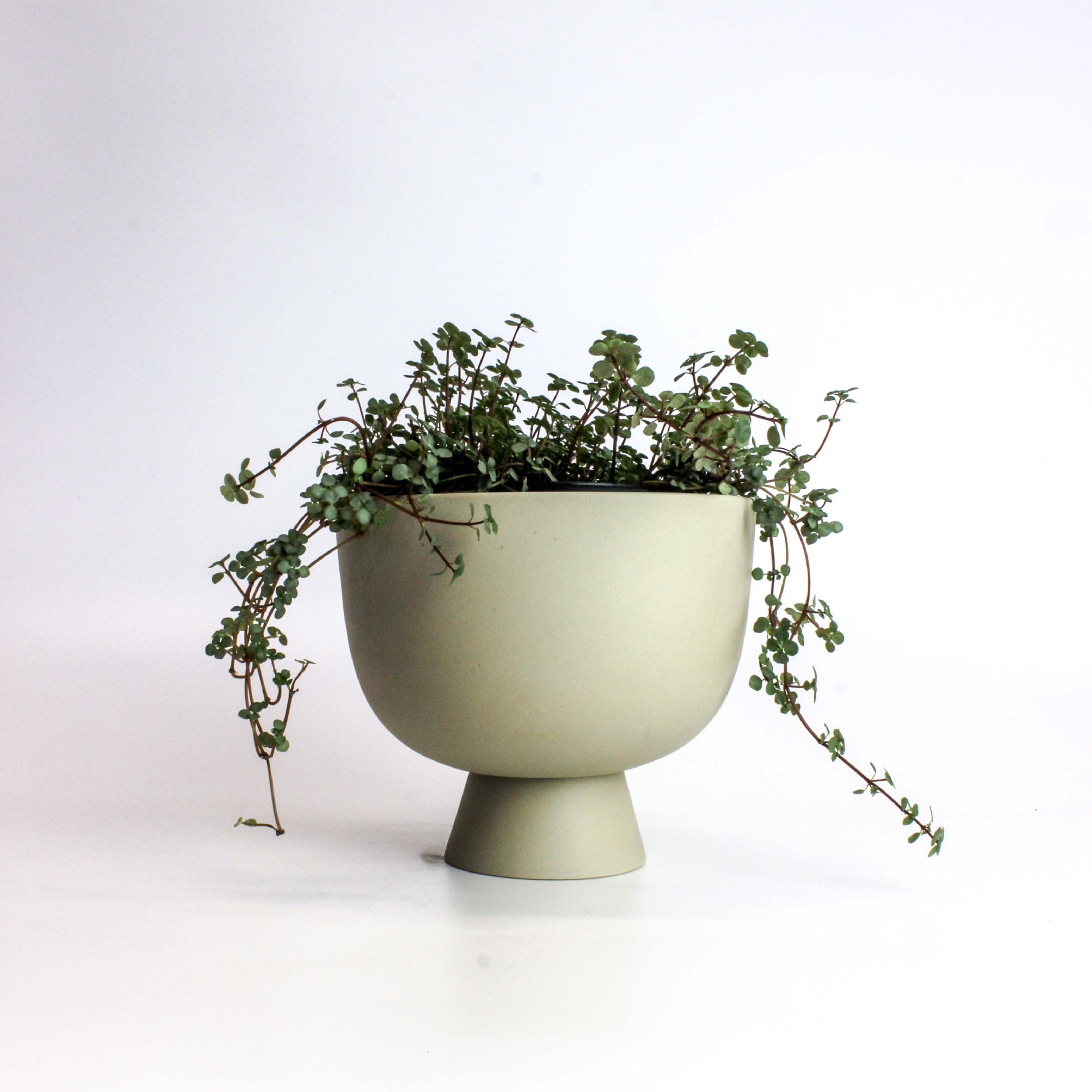 cache-pot pour plante pendante