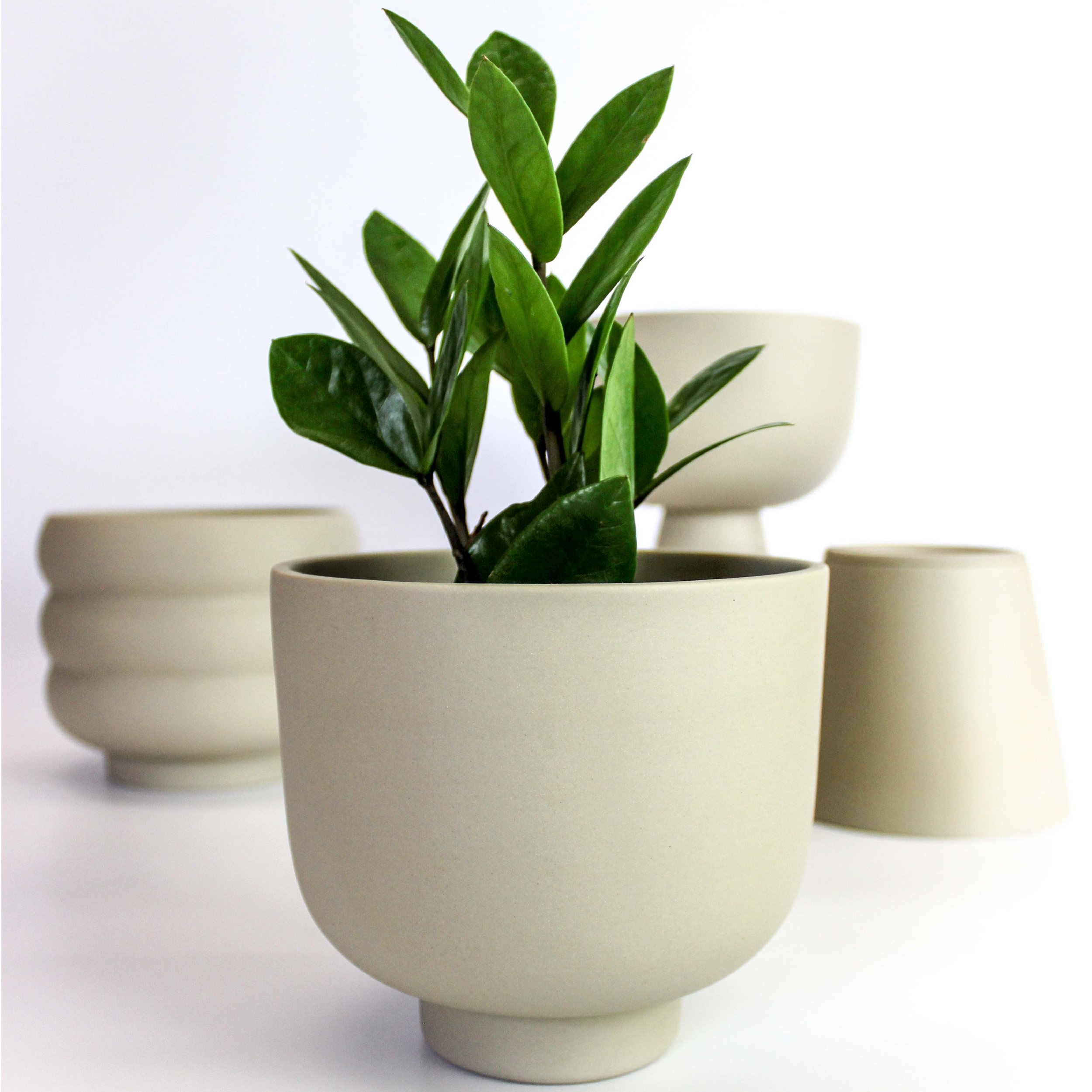 Pots à plante vert sauge