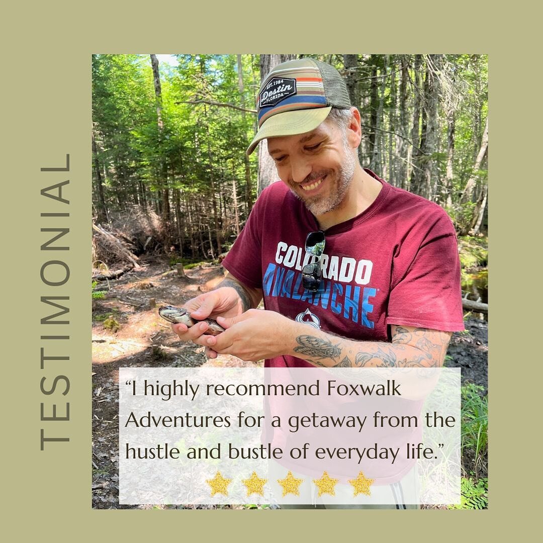 Last summer&rsquo;s guests had an amazing time vacationing with Foxwalk, but don&rsquo;t just take our word for it ➡️ swipe to read more testimonials.

At Foxwalk Adventures we are intentional about fostering quality time outside with the people you 