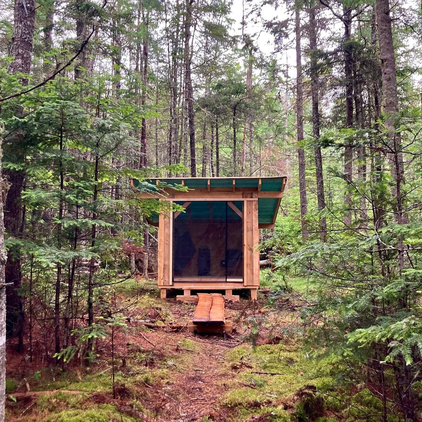 Foxwalk presents Sleep Pods...the comfiest way to experience a night tucked in the forest. Our retreat guests love them and I bet you will too!! 
We are excited to add more retreat style programs with sleep pod accommodations to next year&rsquo;s cal