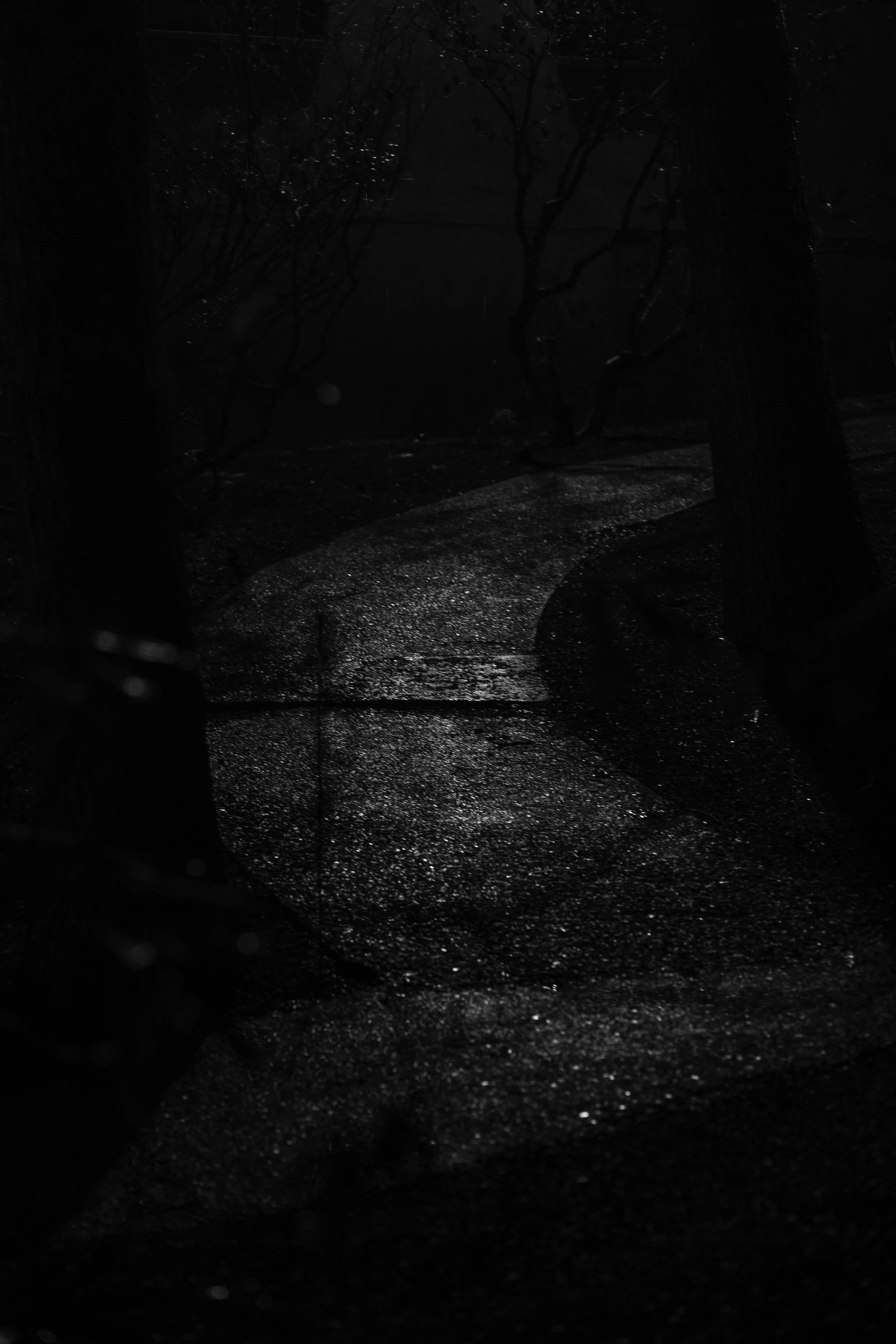 121622 - Canon-8.JPG