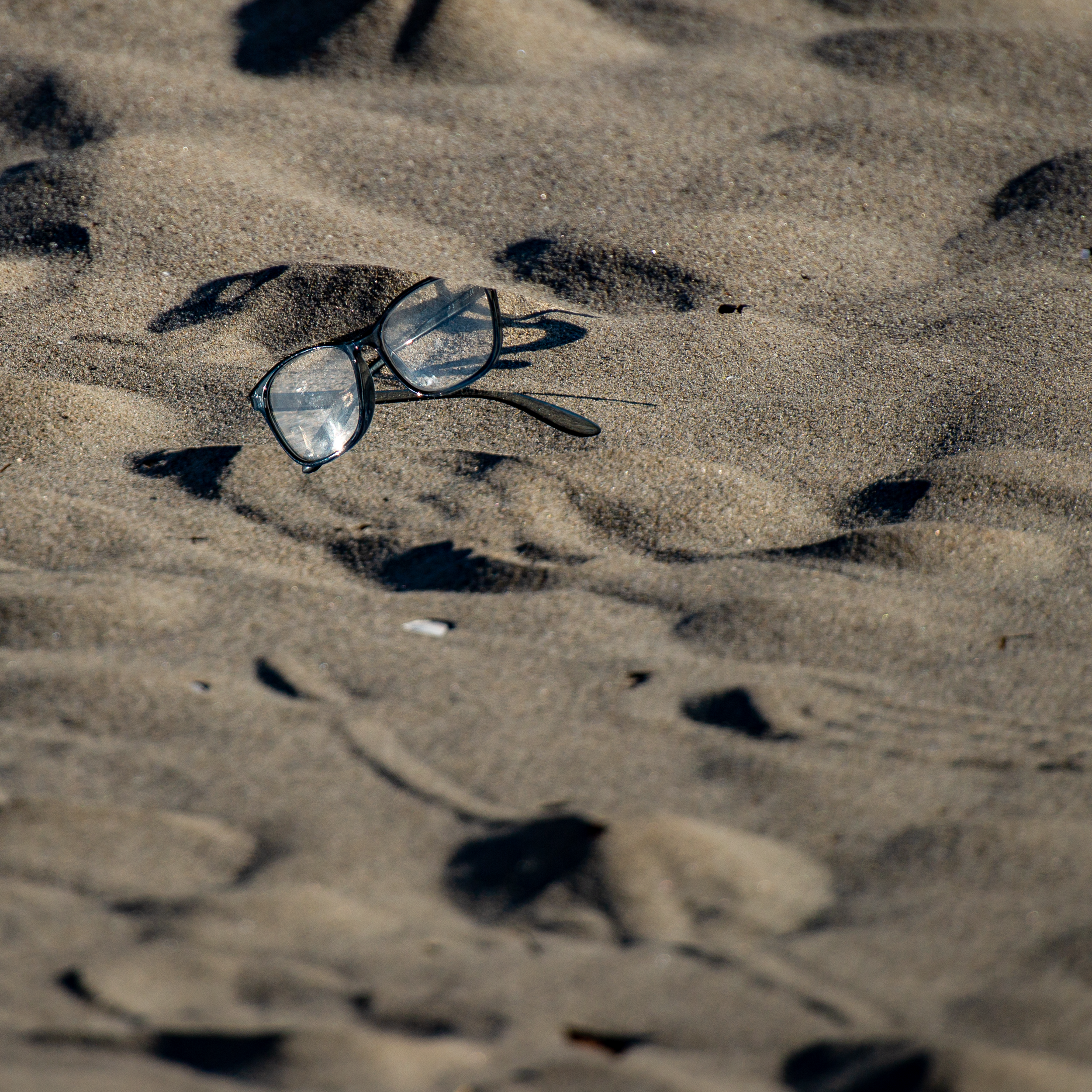 To Sand You Shall Return.png