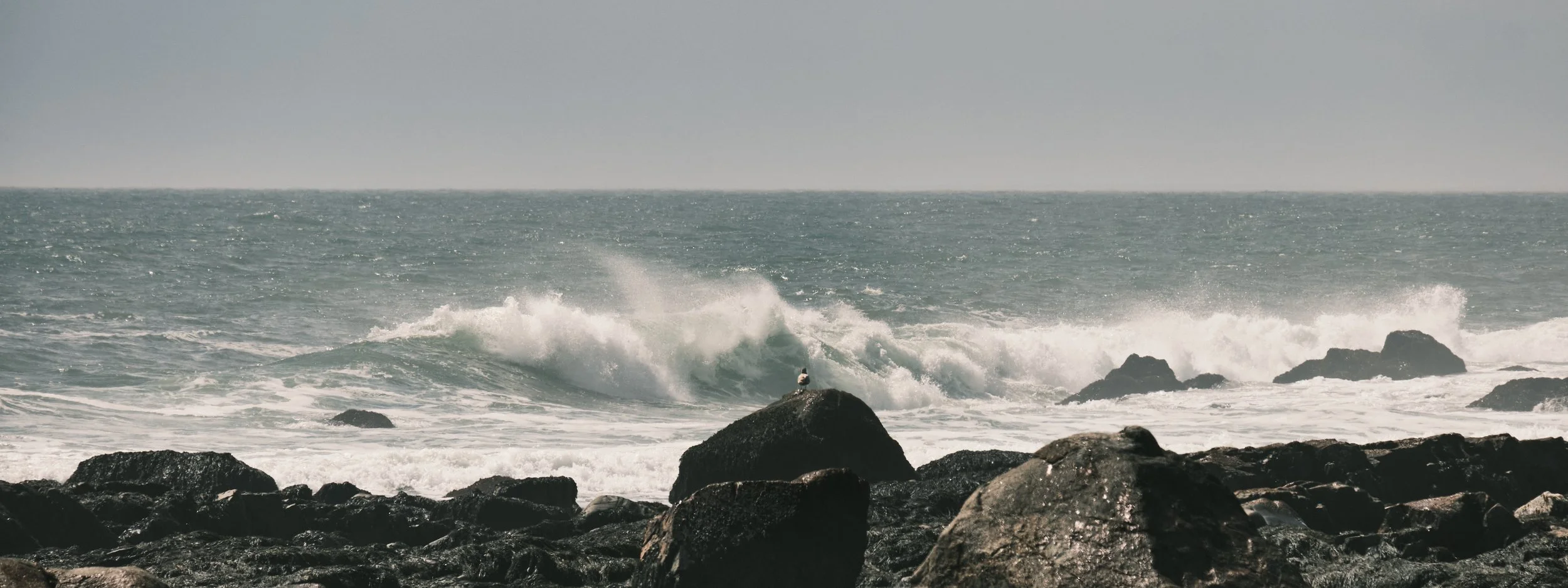 Back Shore 041324 6.jpg