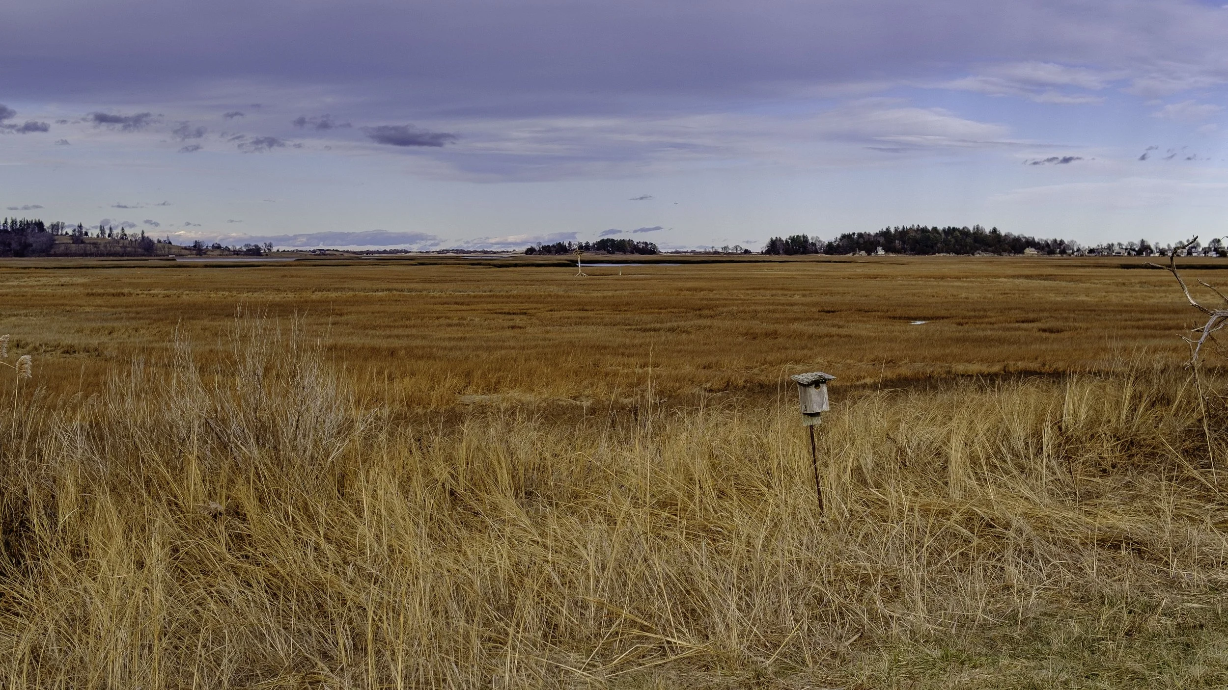 010323 - Fuji - 3.JPG