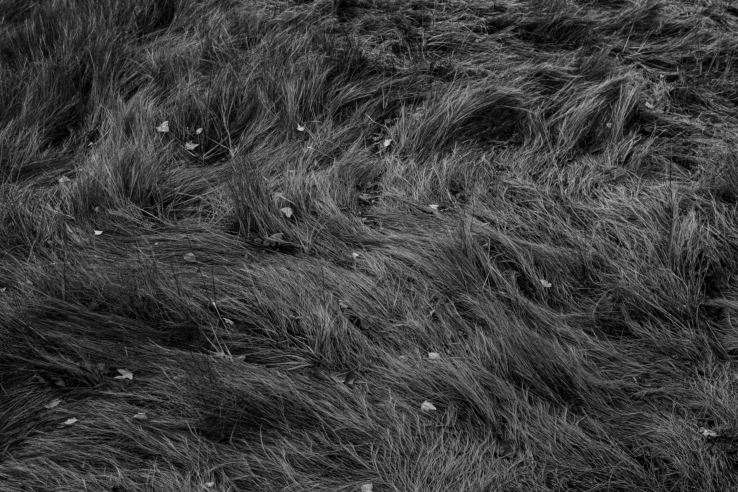 010123 - Fuji - 3.JPG