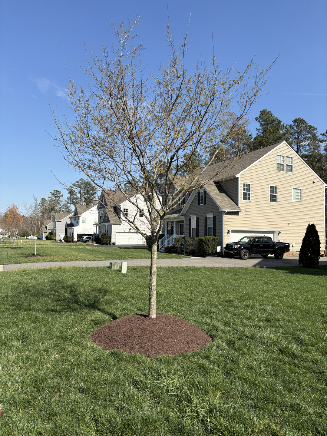Is Your Lawn Ready for Spring? Here's What to Do First