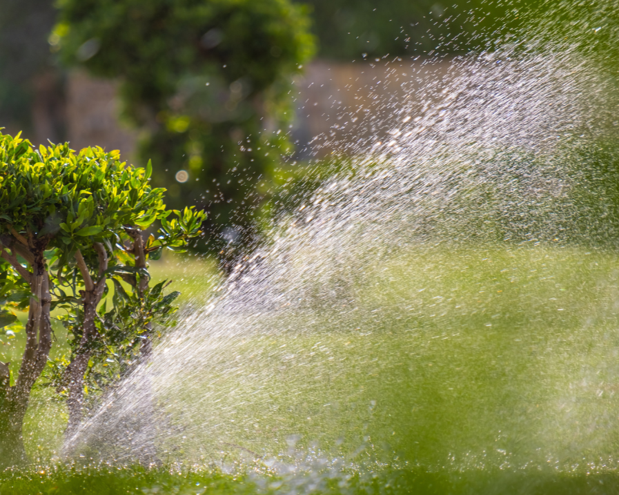 Quick Tip: Deep Watering vs. Shallow Watering — What Your Lawn Actually Needs