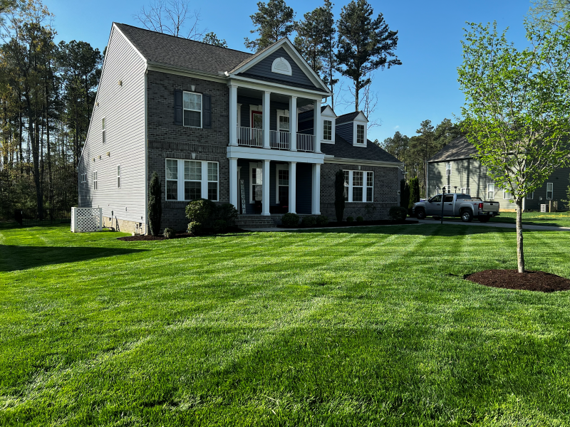 spring lawn mowing